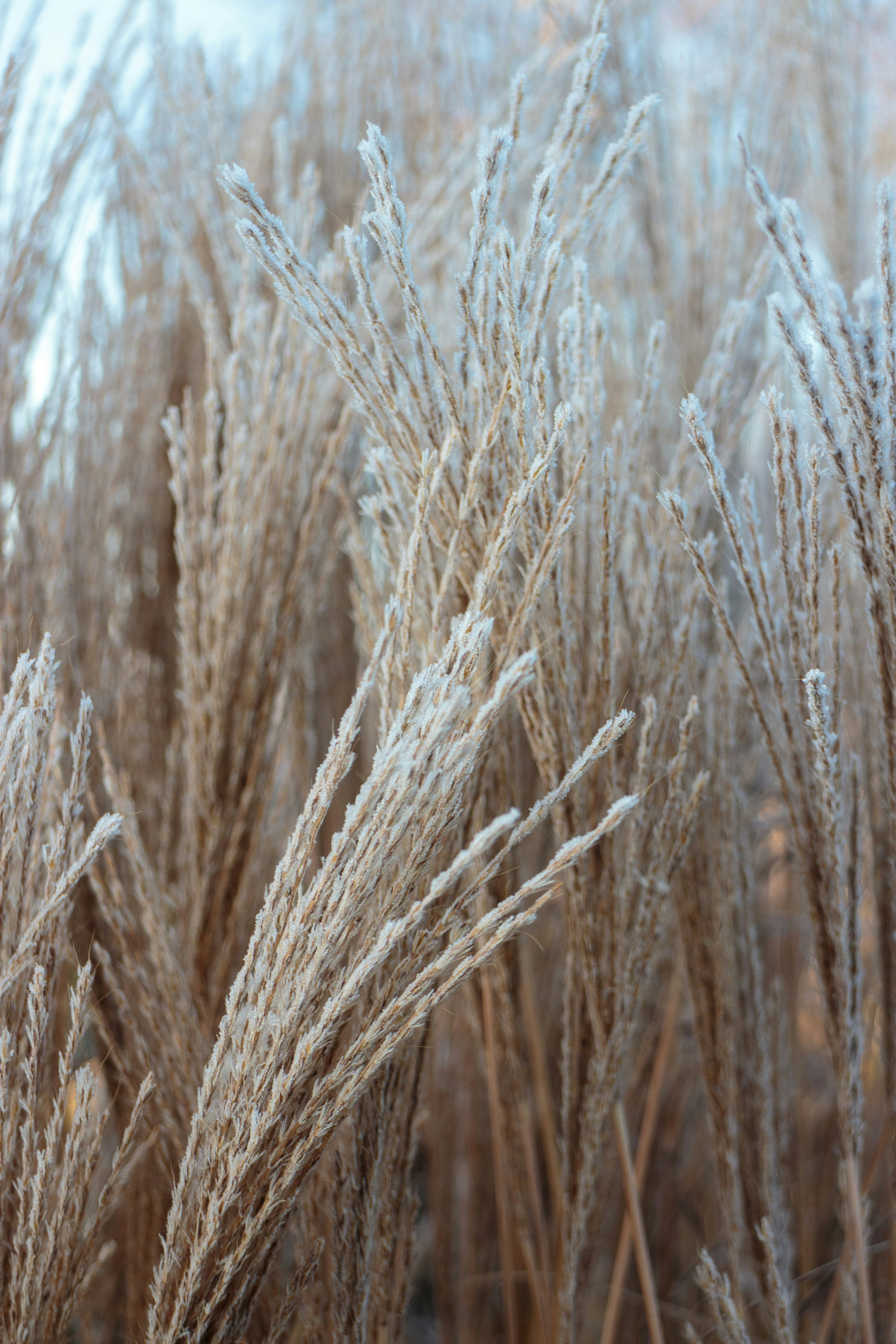 Photo by needfultosay