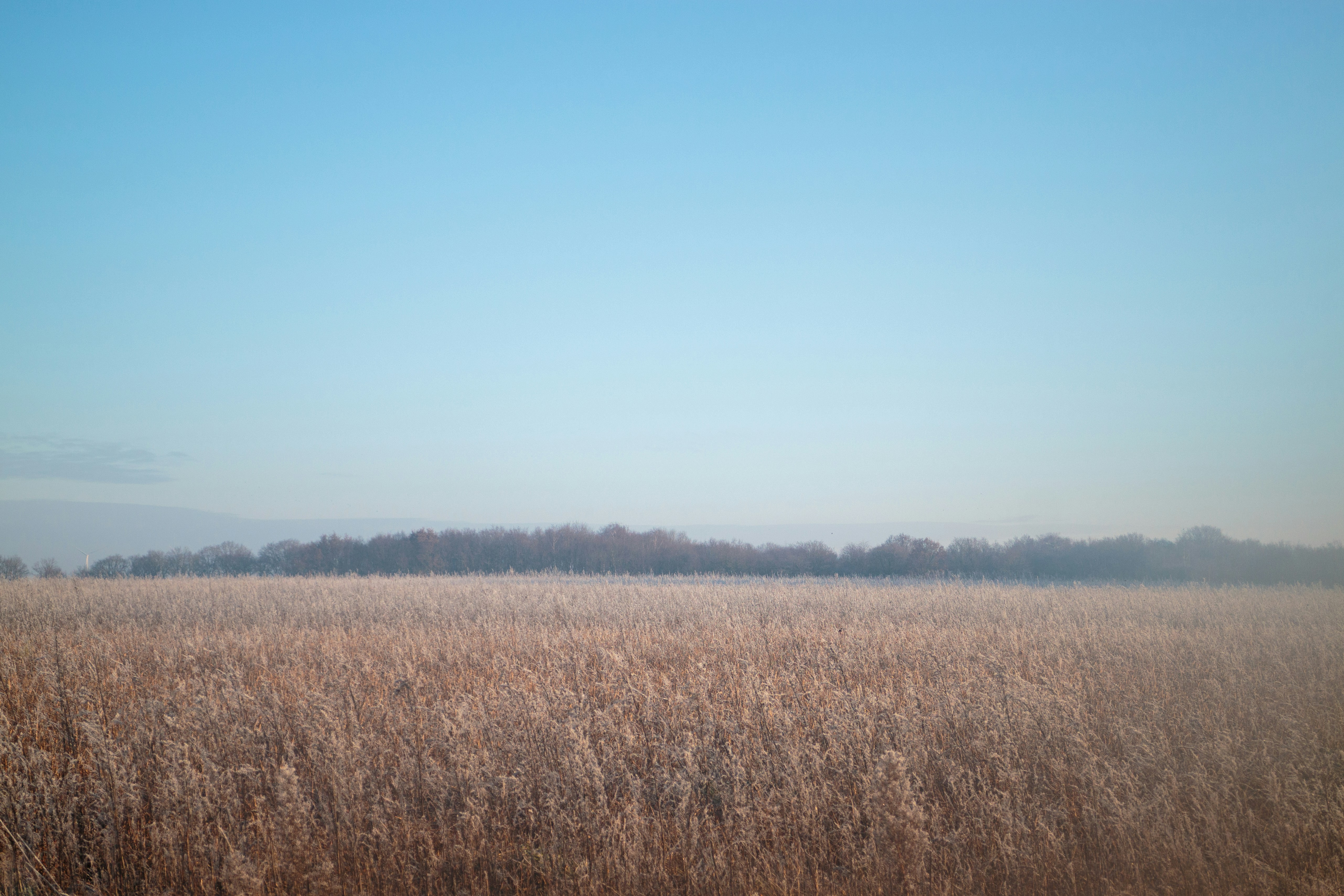 Photo by needfultosay