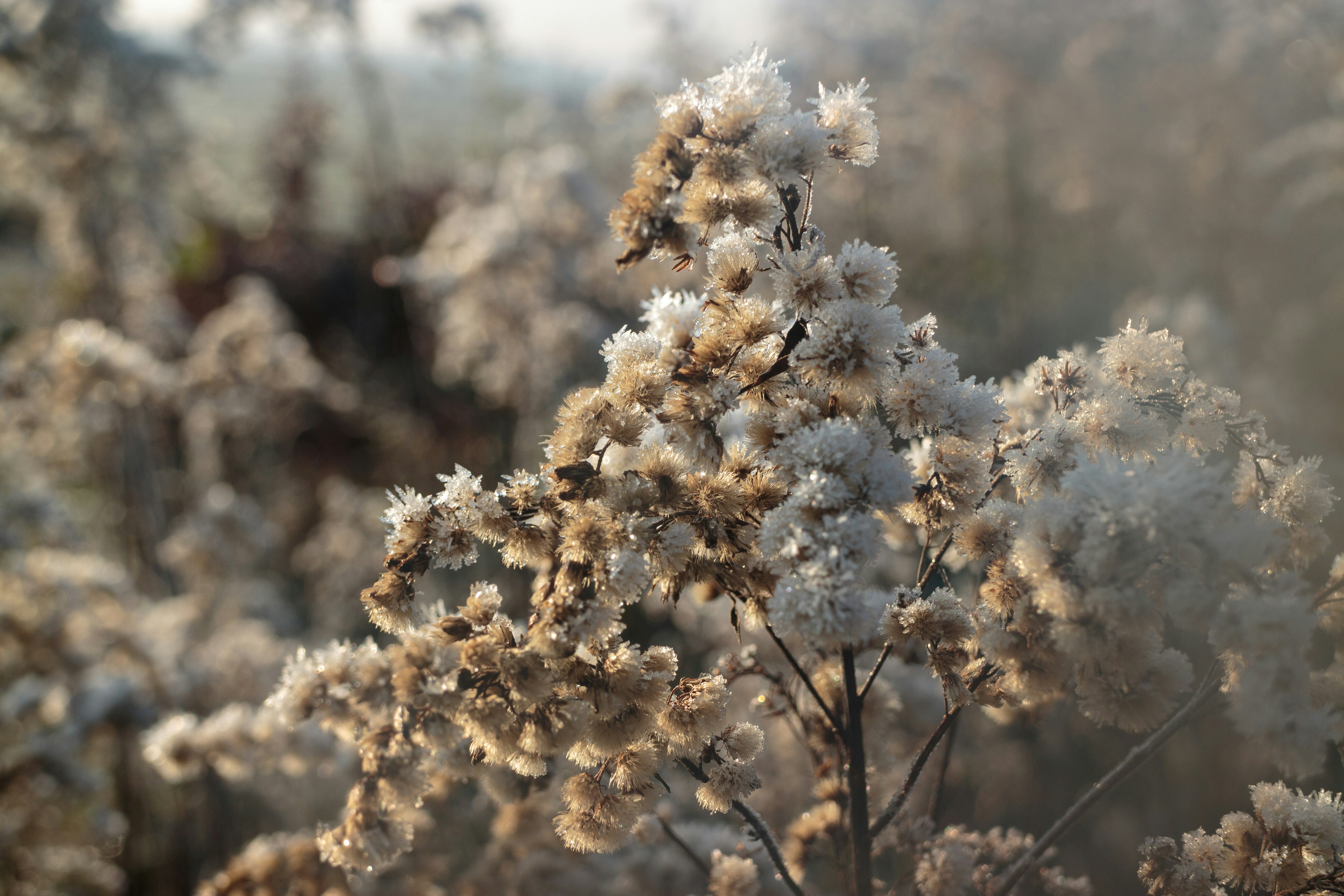 Photo by needfultosay