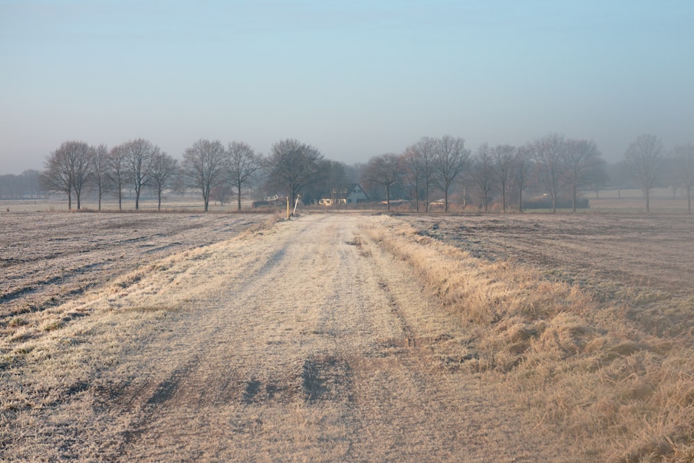 a dirt road in the middle of a field