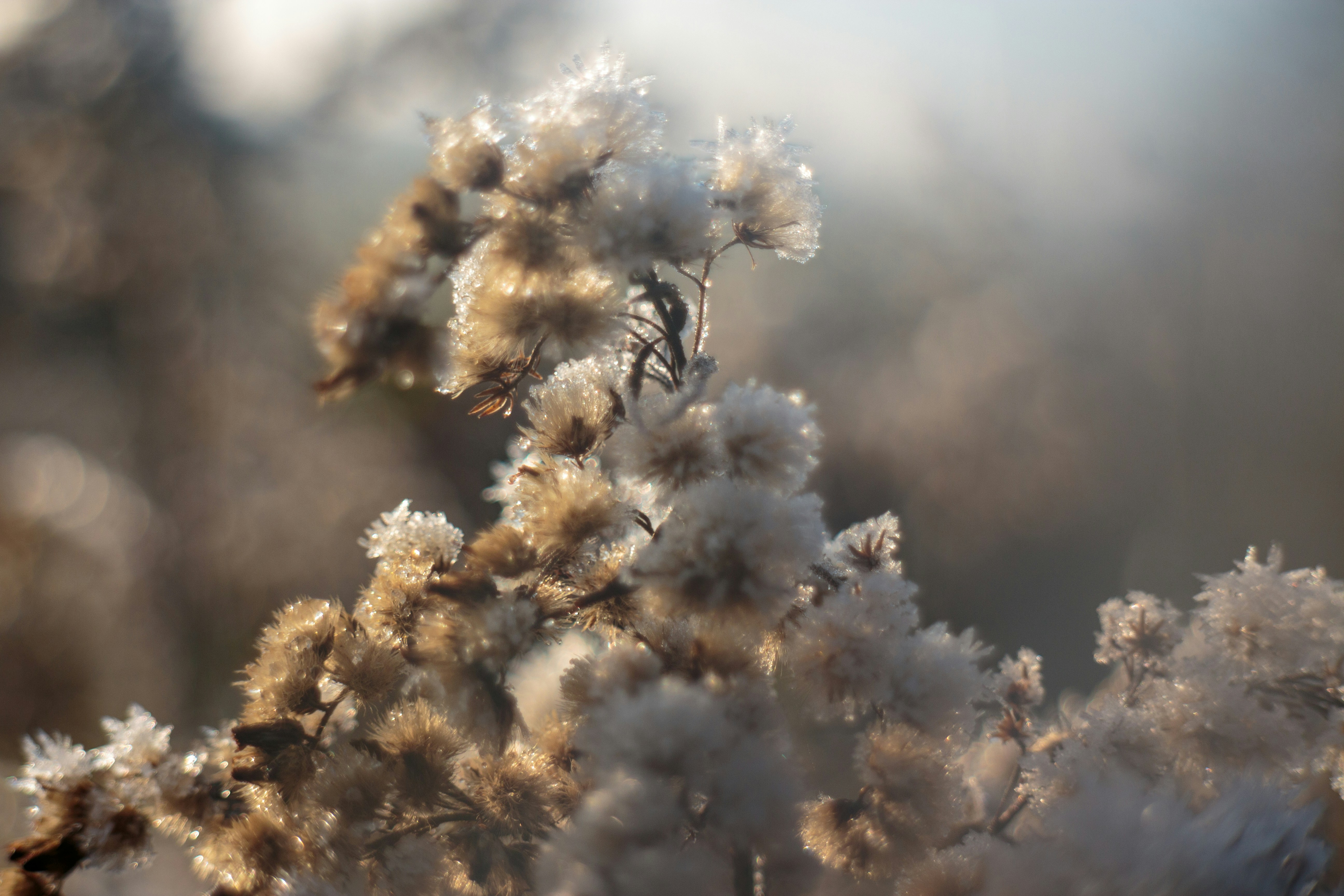 Photo by needfultosay