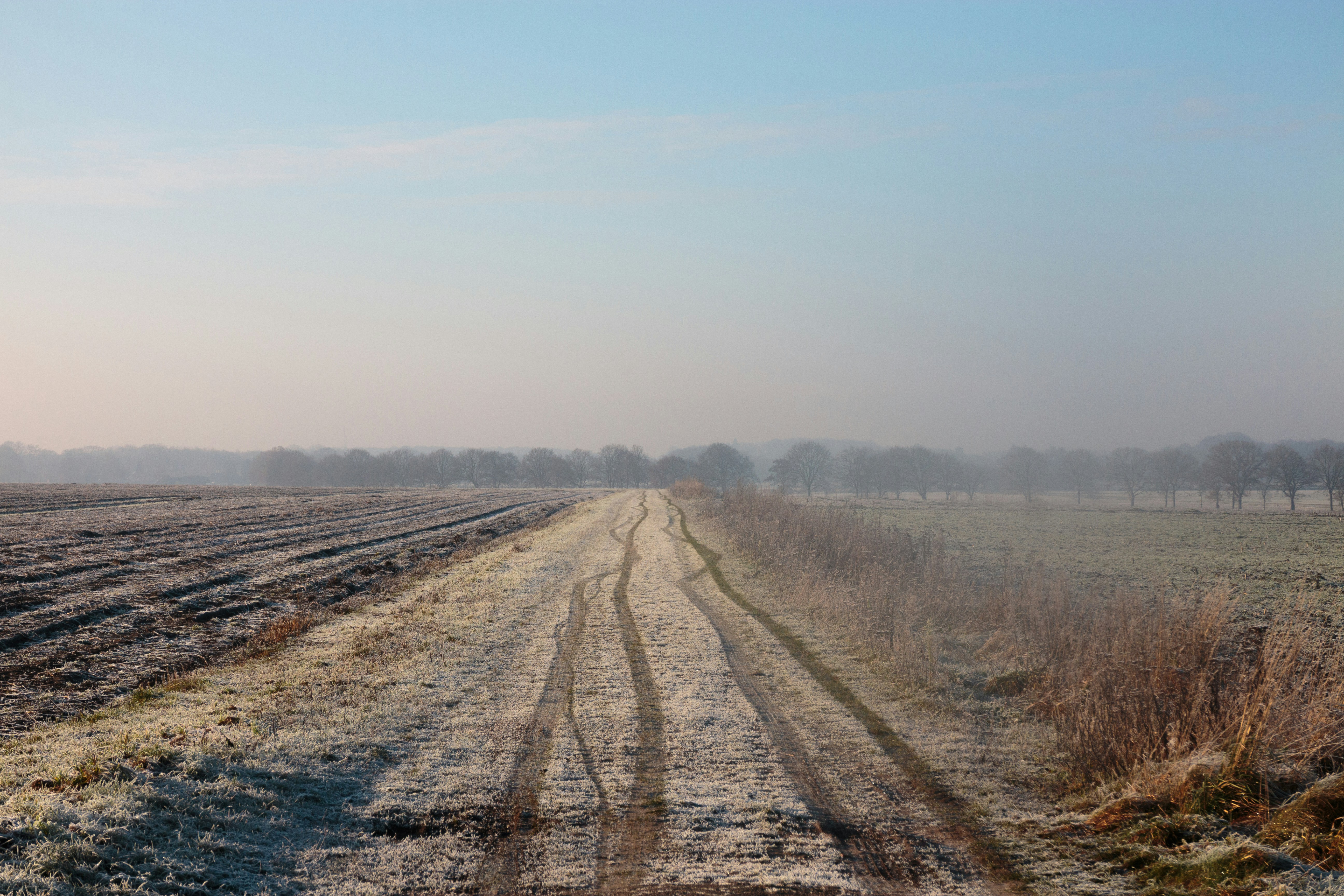 Photo by needfultosay