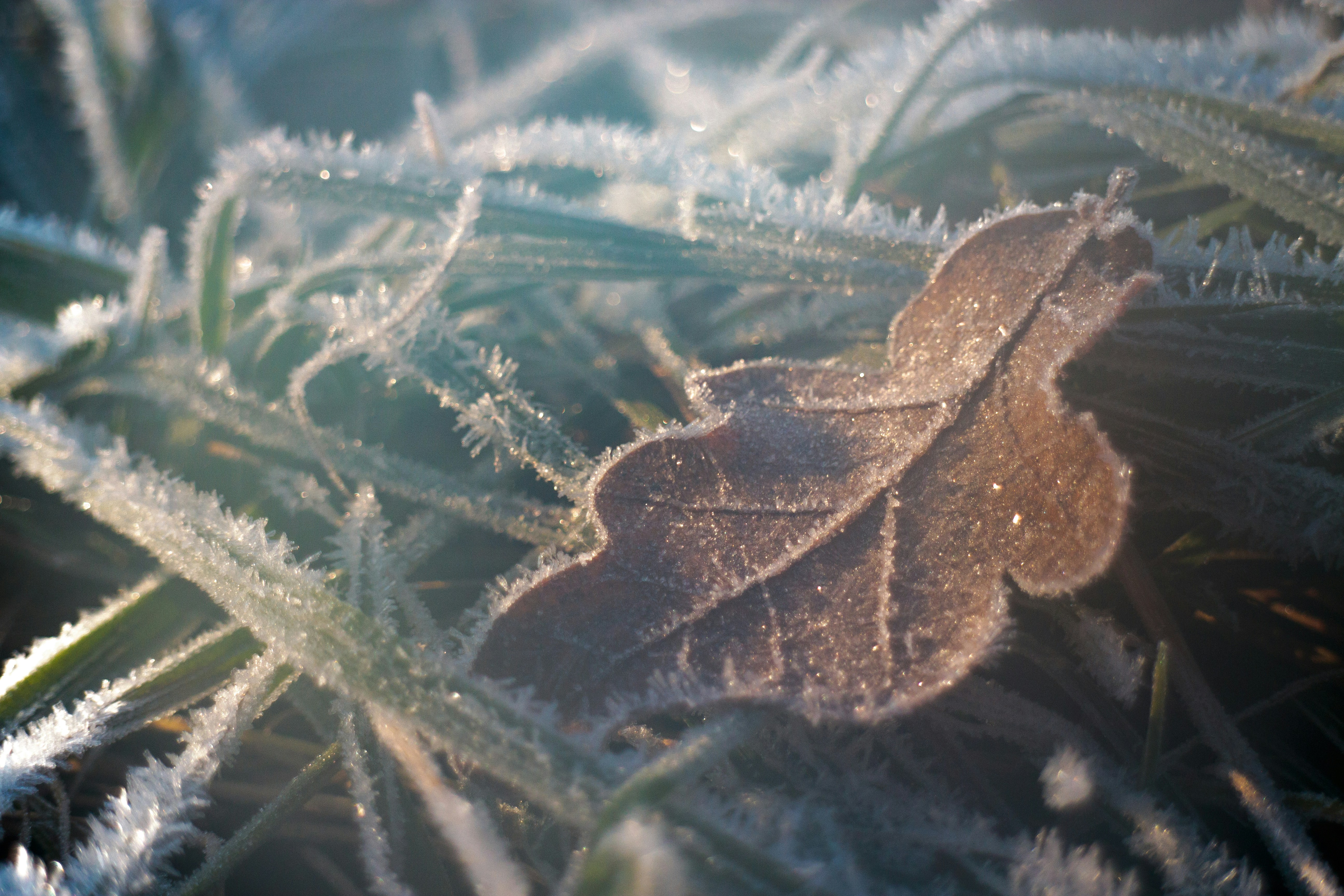 Fahrenheit to Celsius: Share Warm Wishes, One Degree at a Time