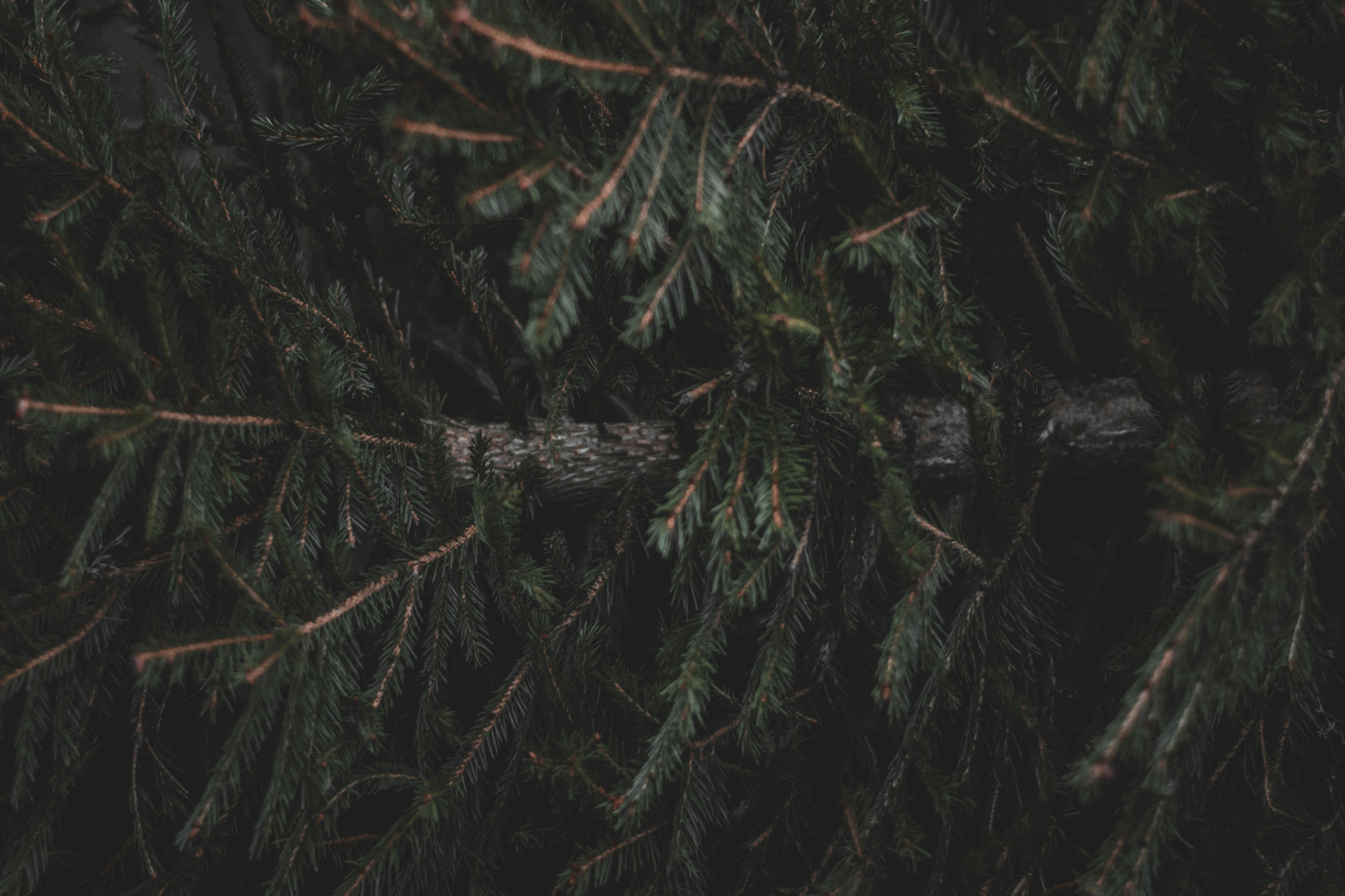 Photo by elliottmason