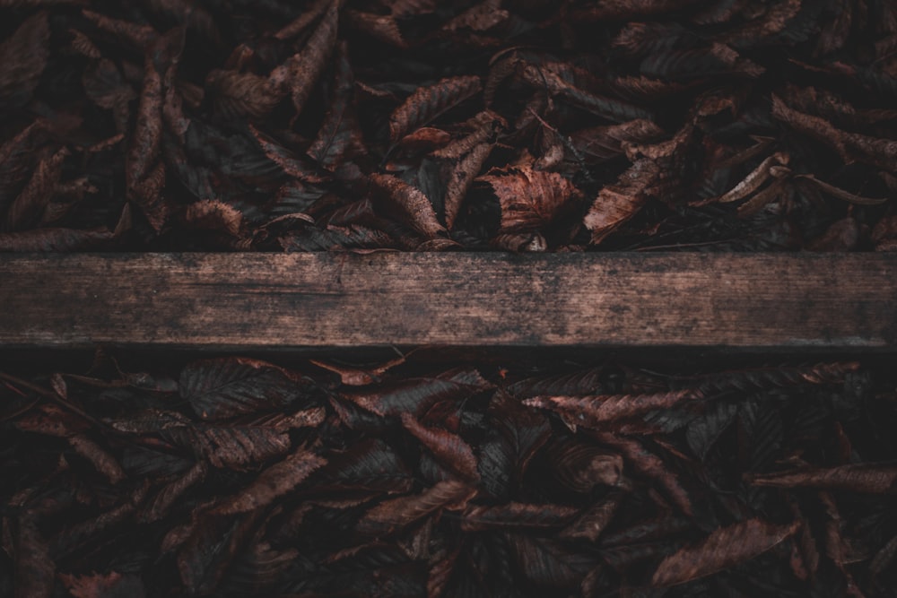 a close up of a wood plank with leaves on it