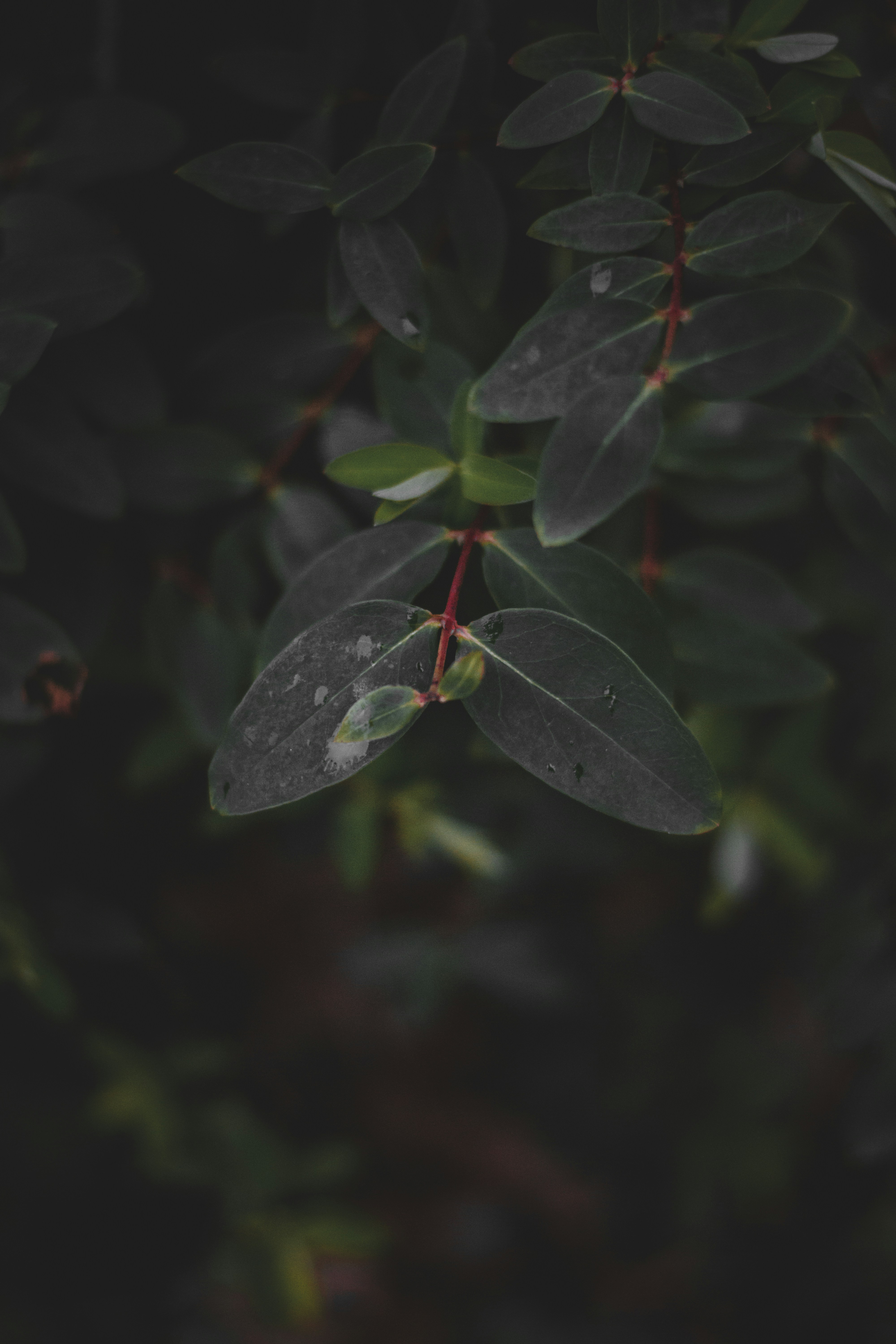 Photo by elliottmason