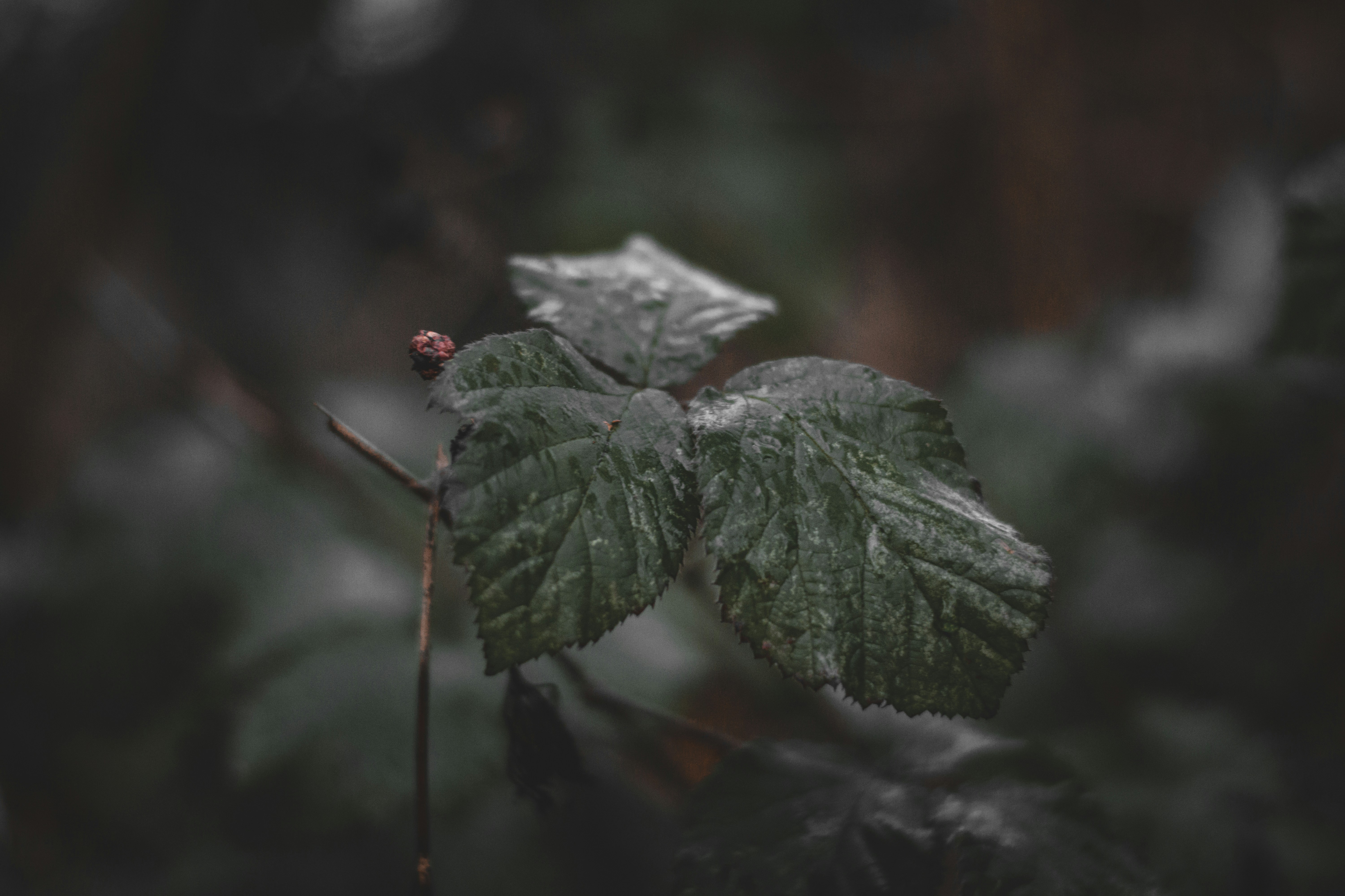 Photo by elliottmason