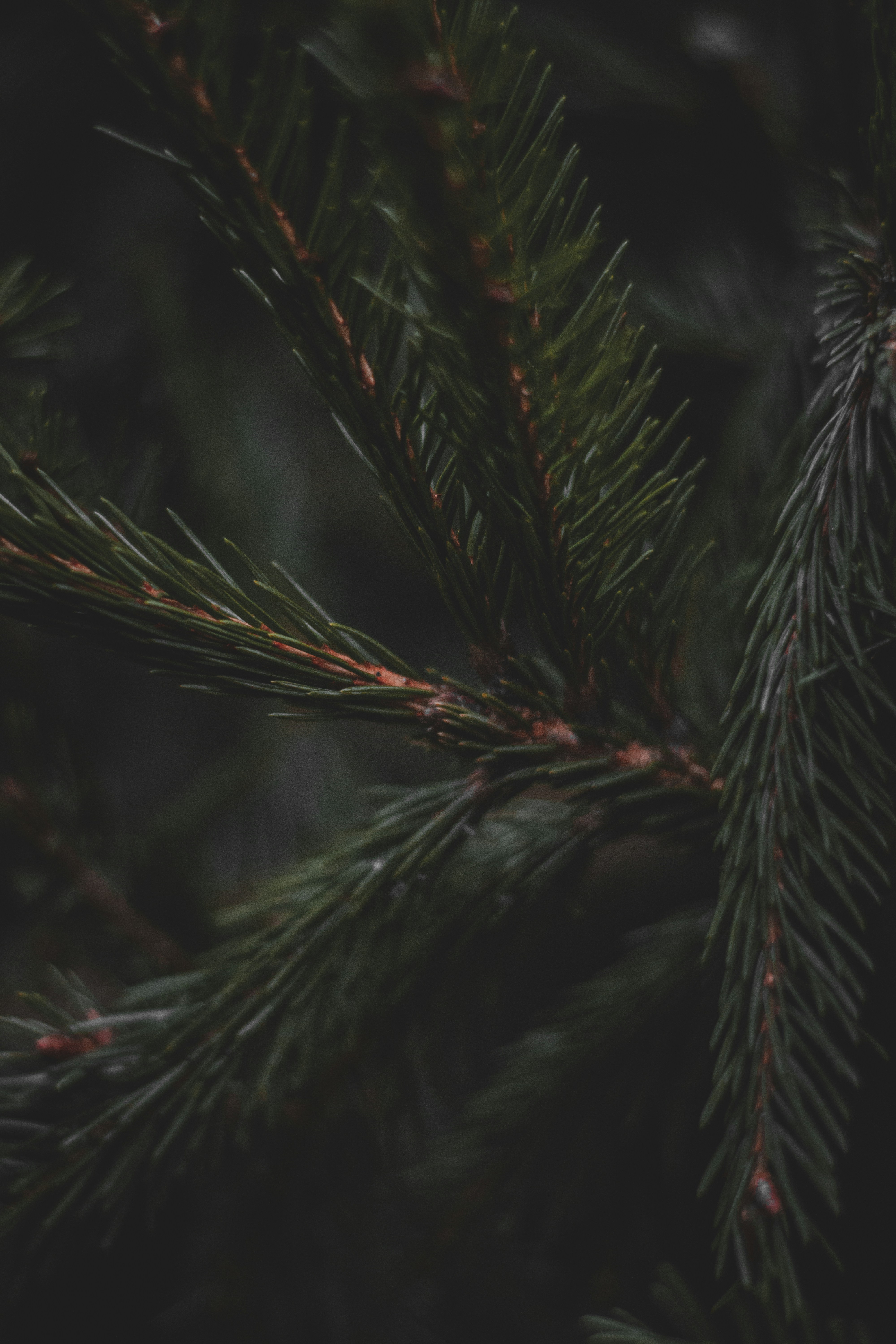 Photo by elliottmason