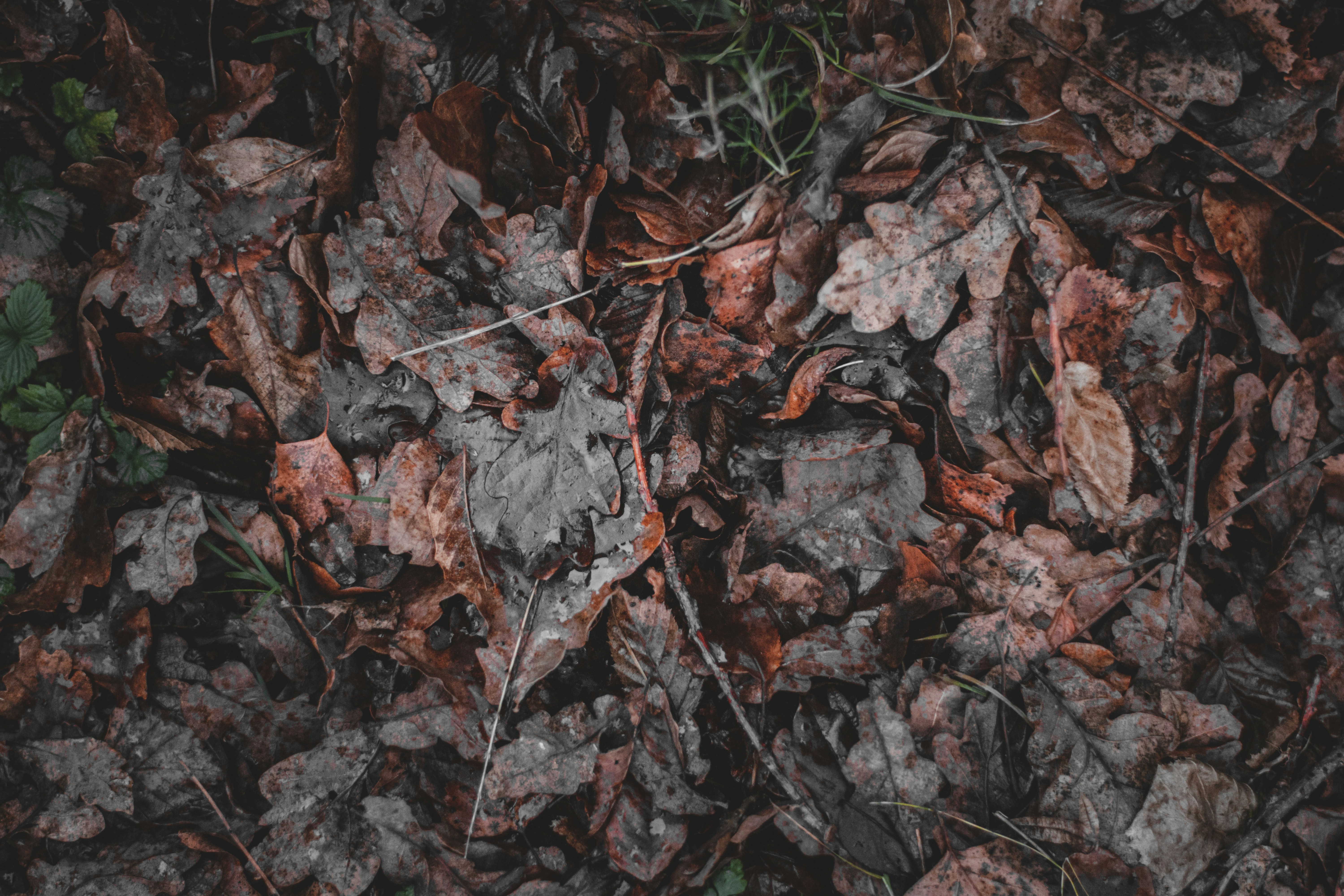 Photo by elliottmason