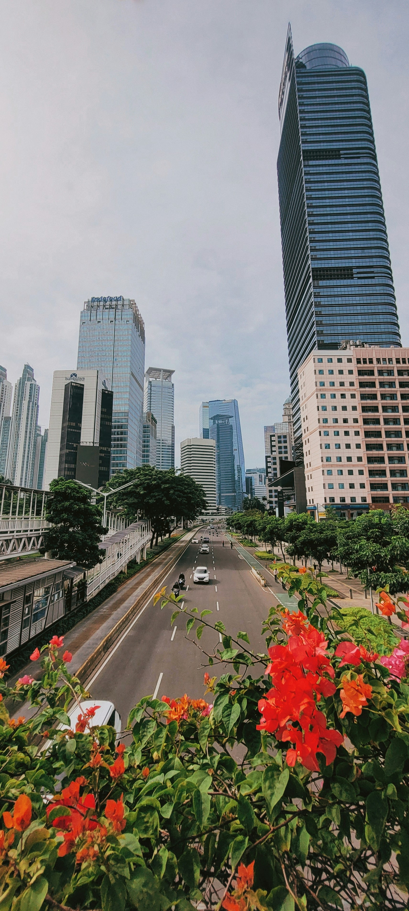 Photo by nadiarananta