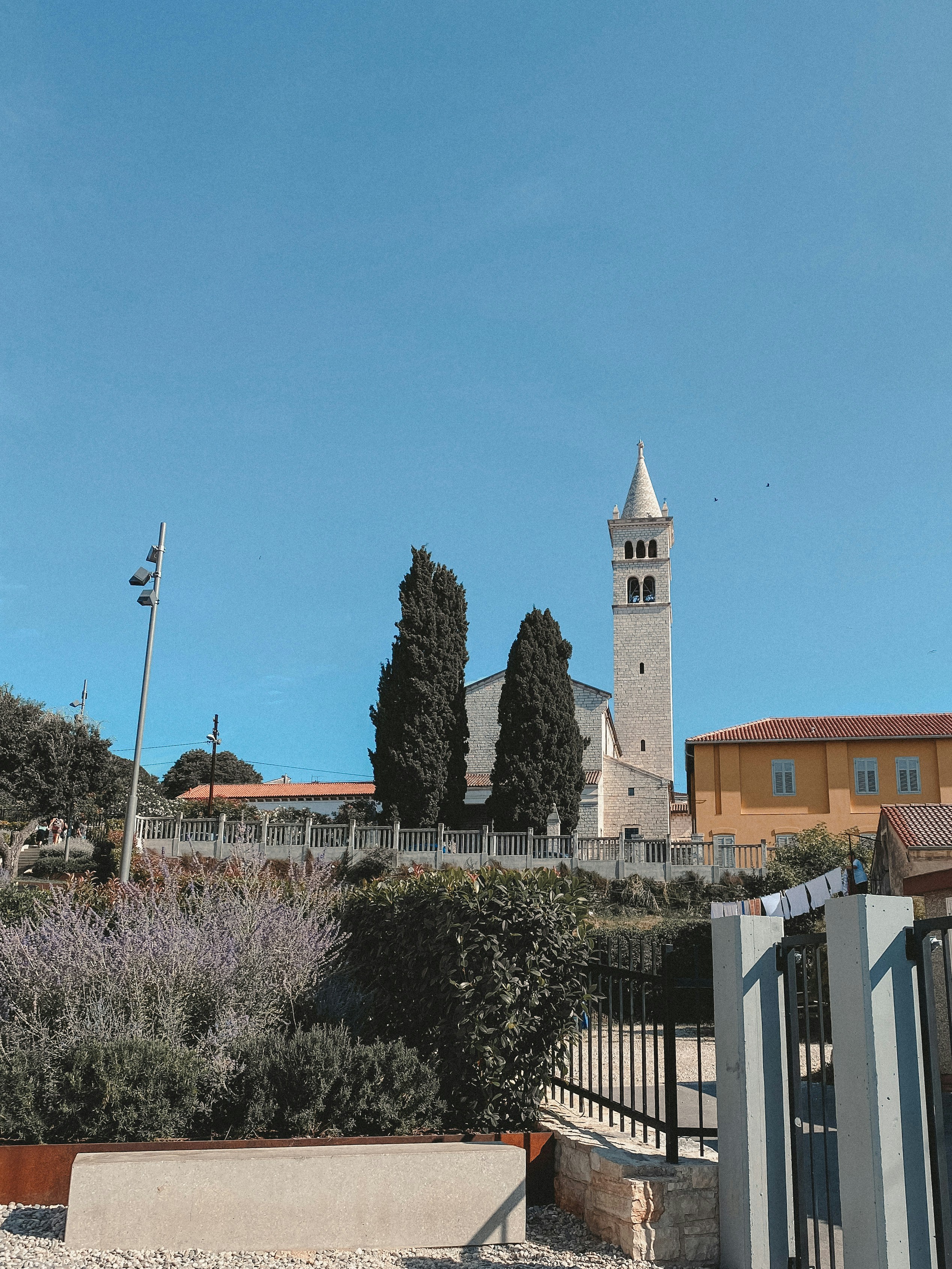 Photo by annapostolnyk