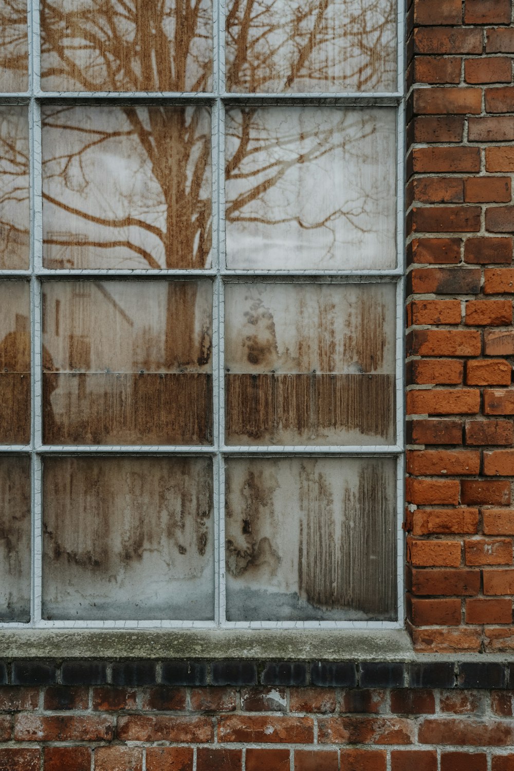 a brick building with a tree reflected in a window
