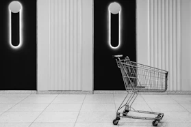 Shopping cart icon with digital payment options displayed.