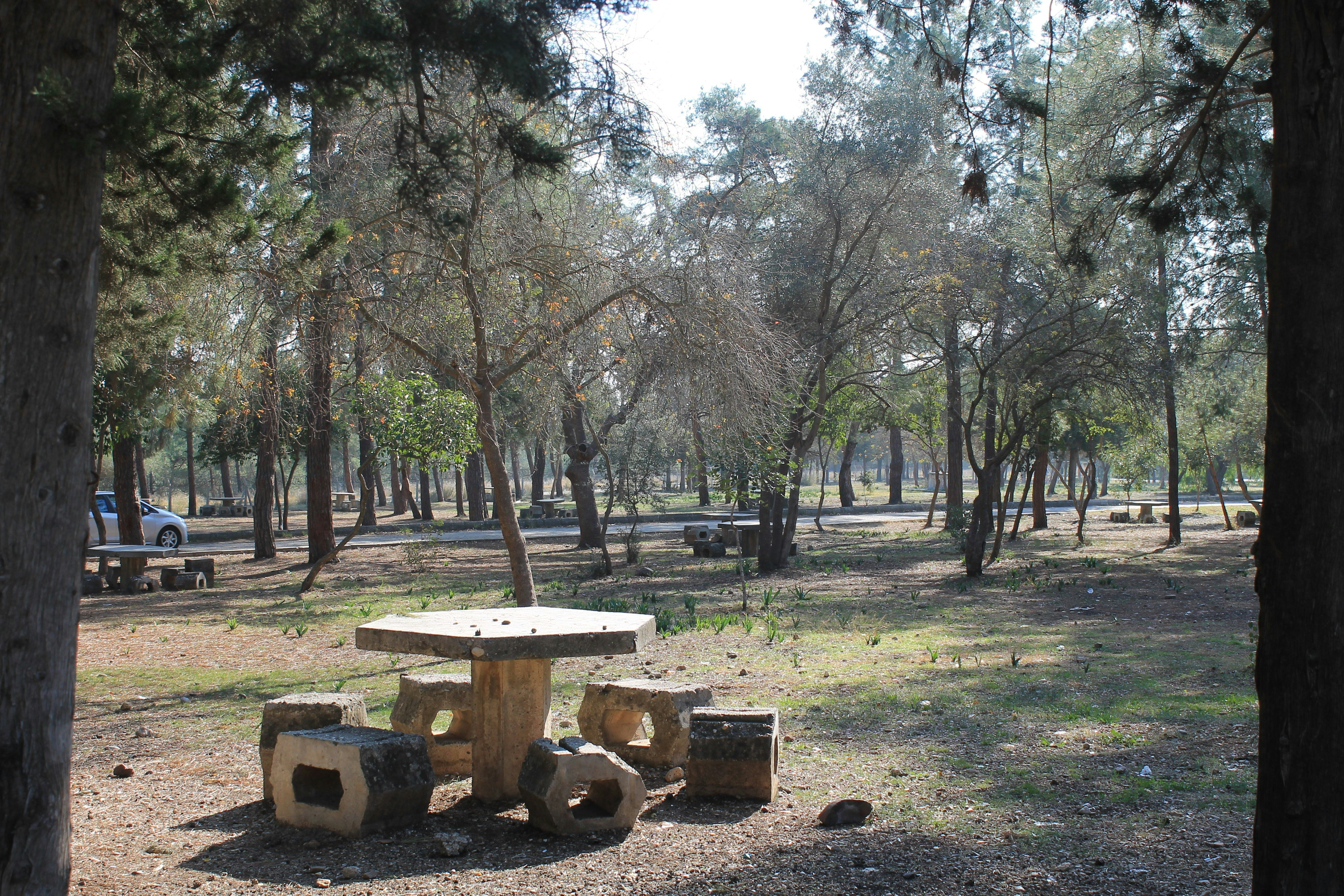Parque Central de San Francisco