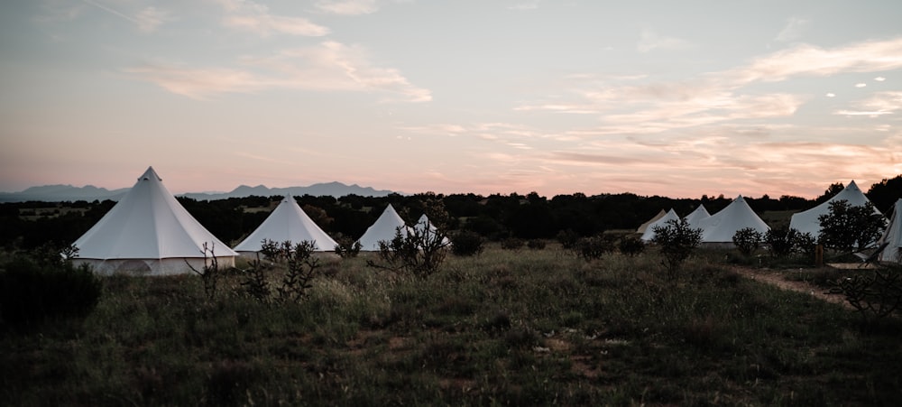 a group of white tents sitting in the middle of a field