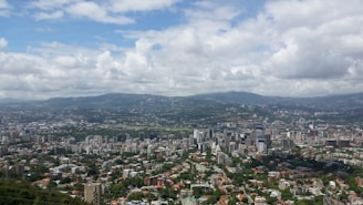 a view of a city from the top of a hill