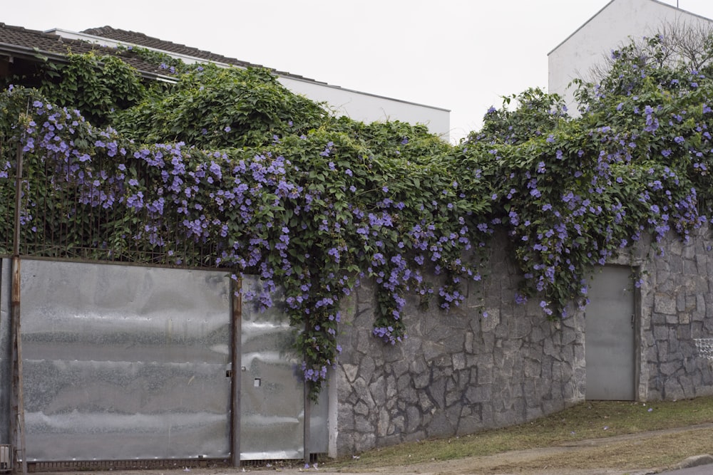 a stone wall covered in purple flowers next to a building