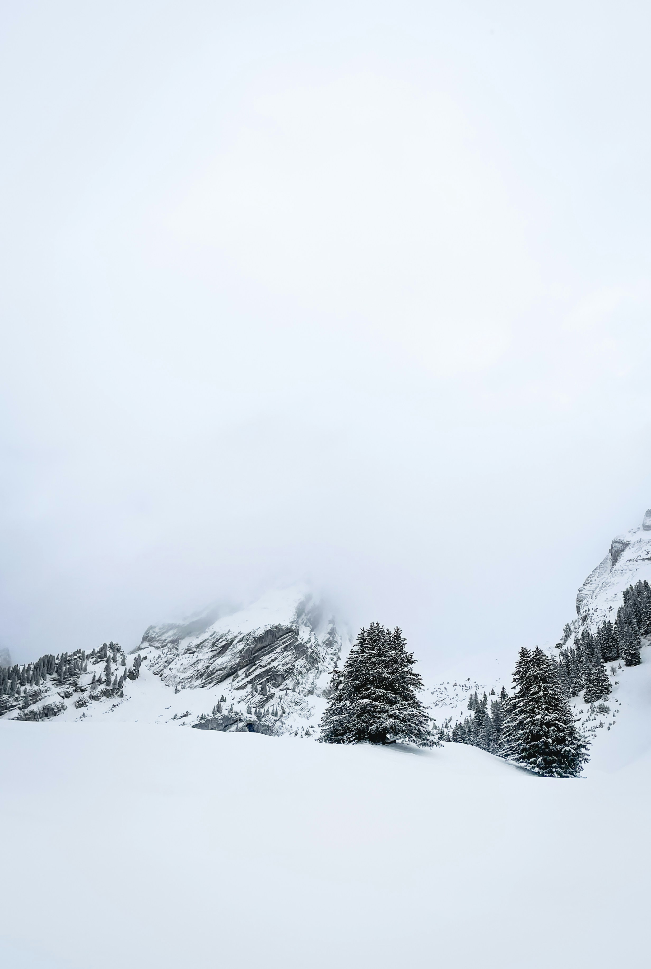 Photo by kevinbessat