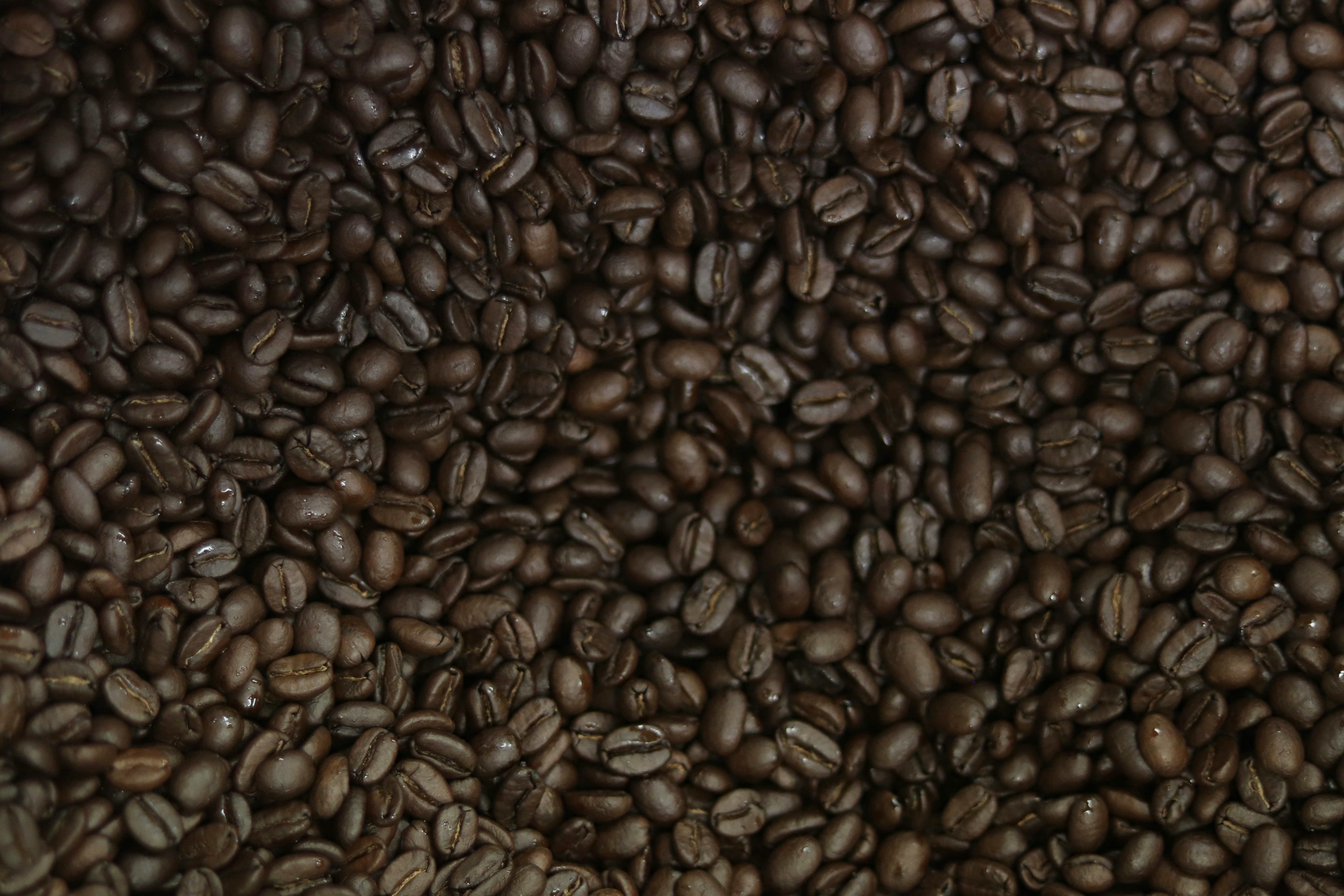 Large pile of coffee beans