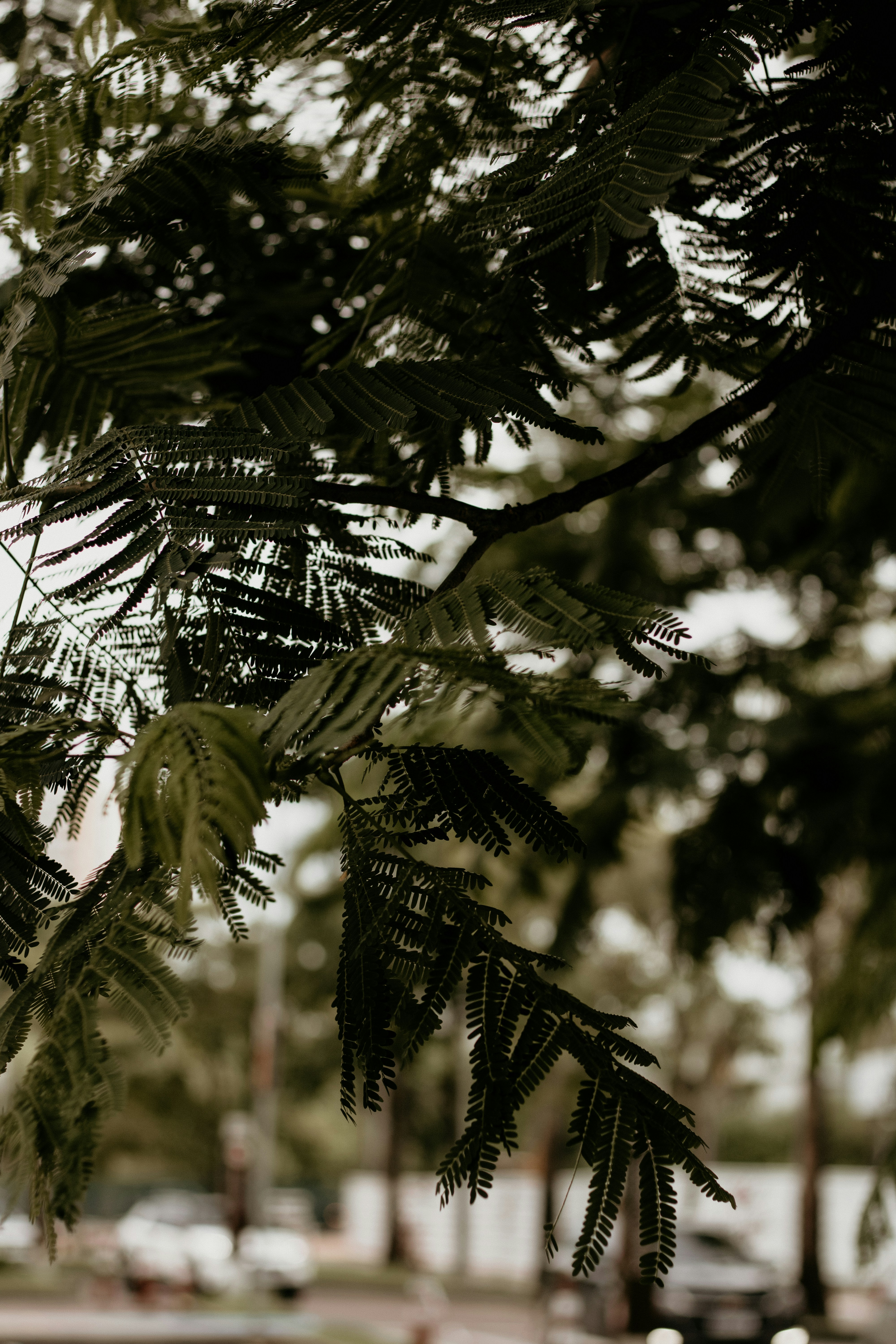 Photo by pedrovitorfotografia