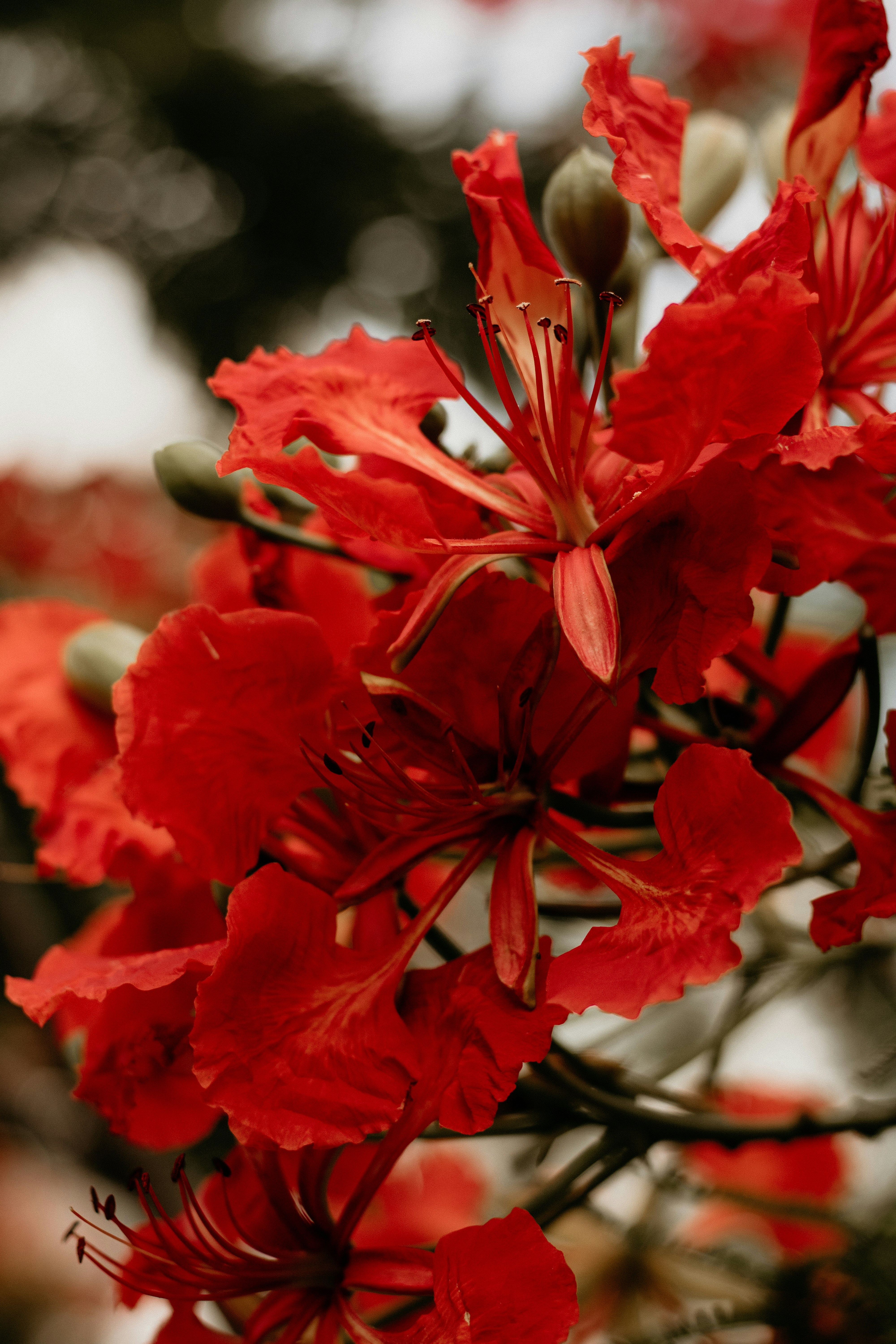 Photo by pedrovitorfotografia