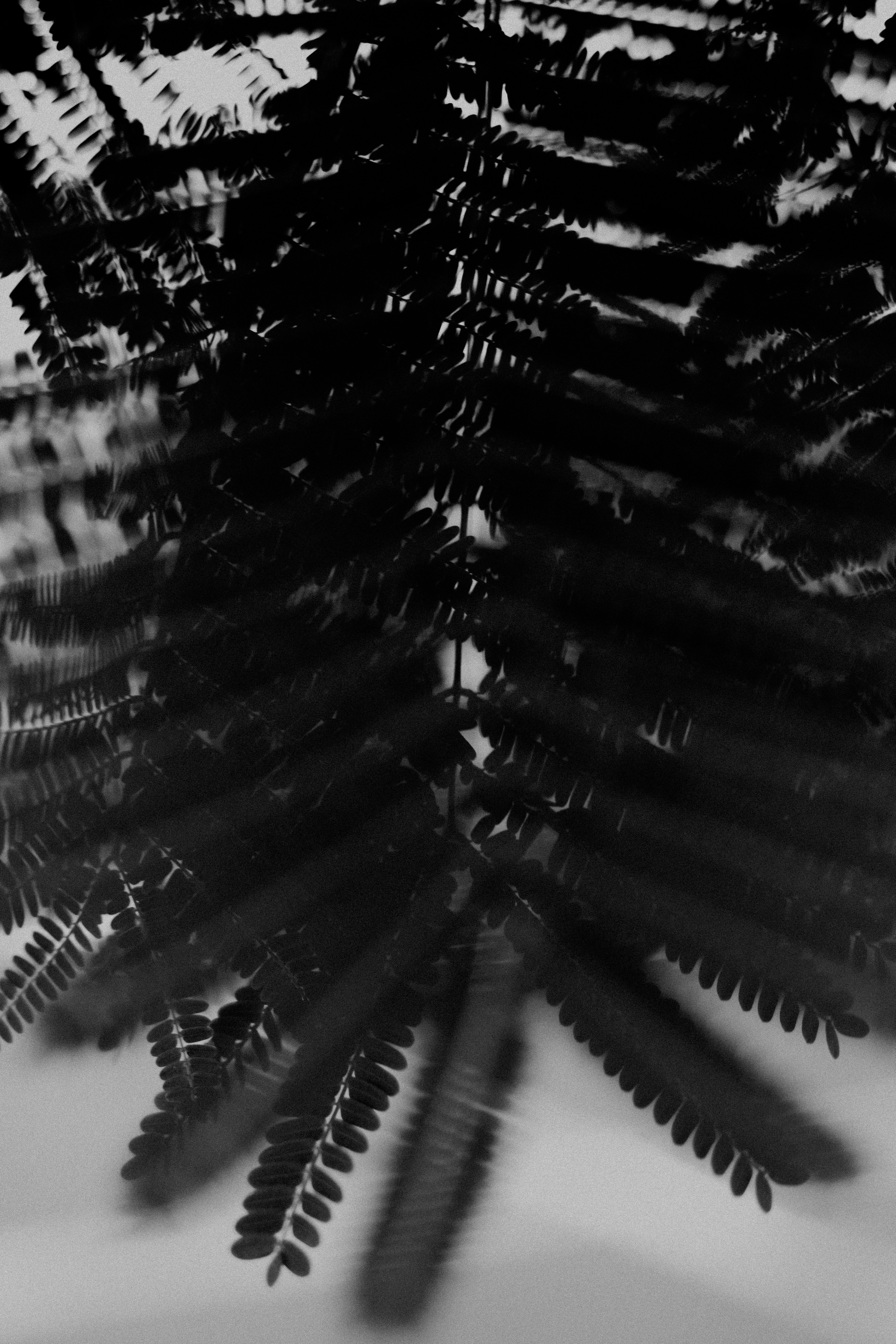 Photo by pedrovitorfotografia