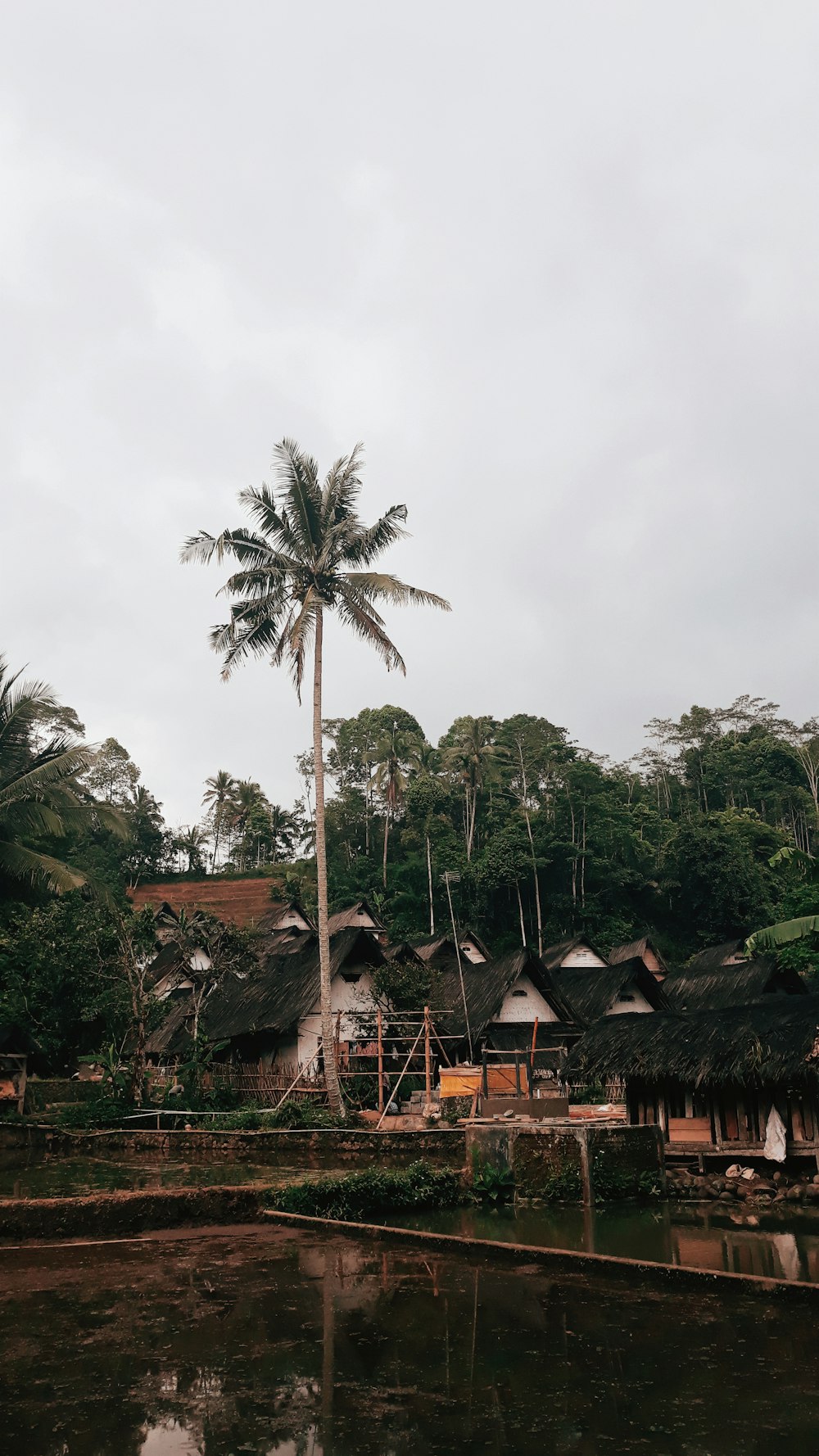 a small village with a palm tree in the foreground