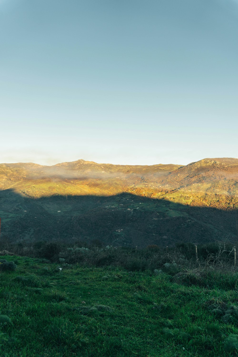 a man standing on top of a lush green hillside