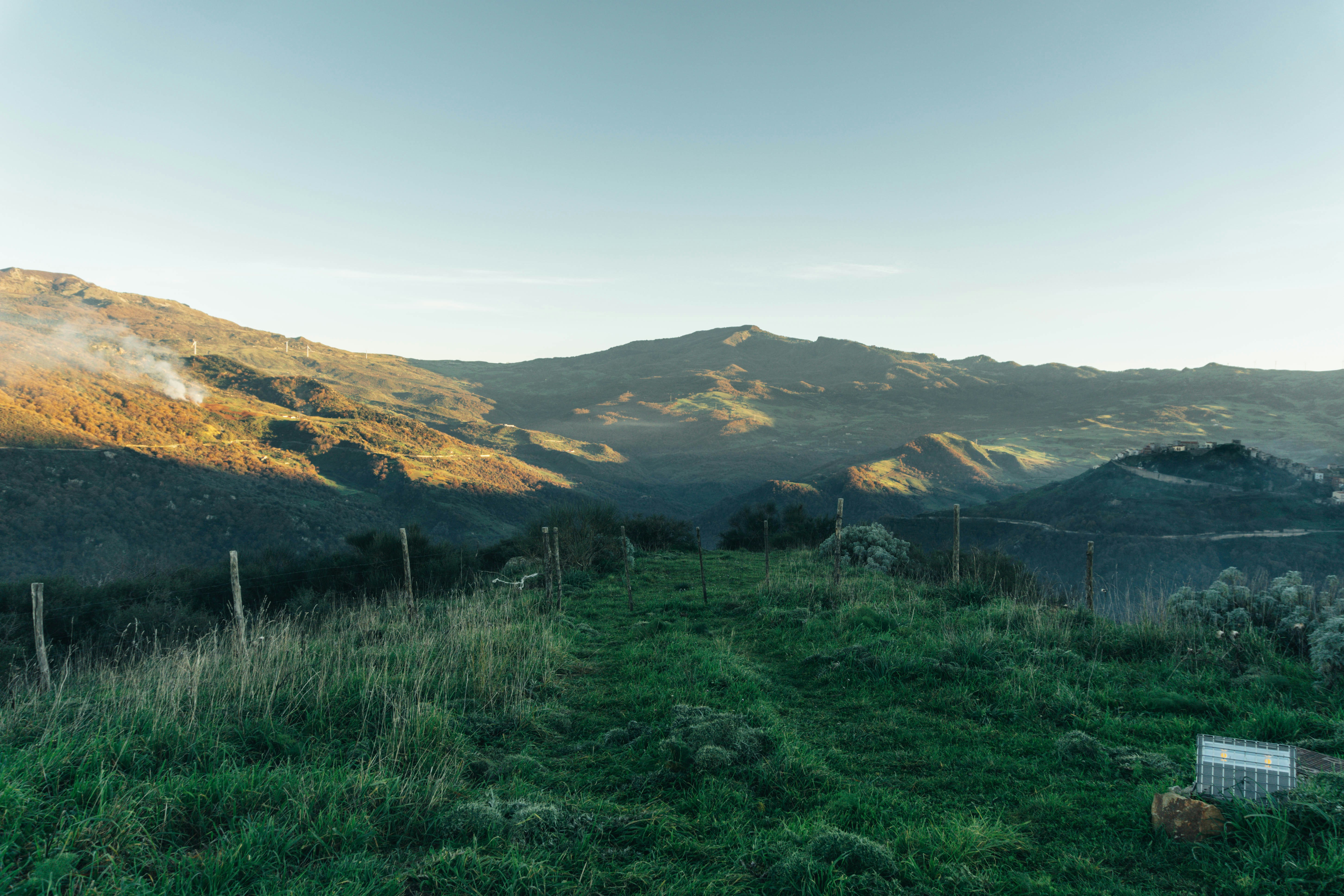 Photo by mrpeppeocchipinti