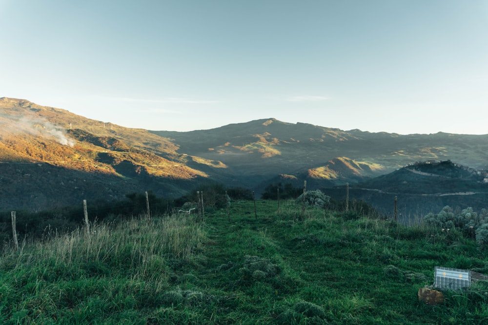 a grassy field with mountains in the background