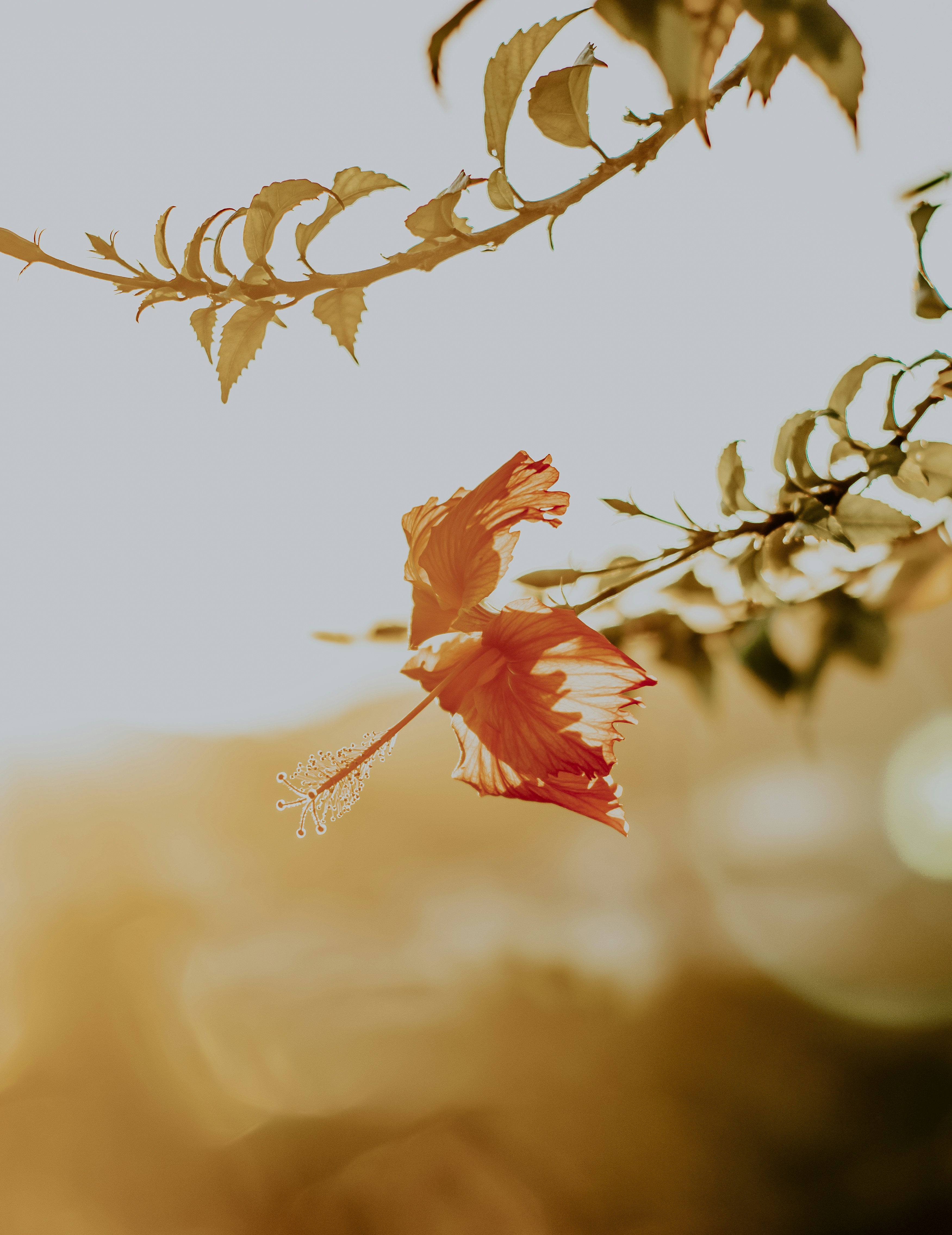 Photo by paolanunesfoto