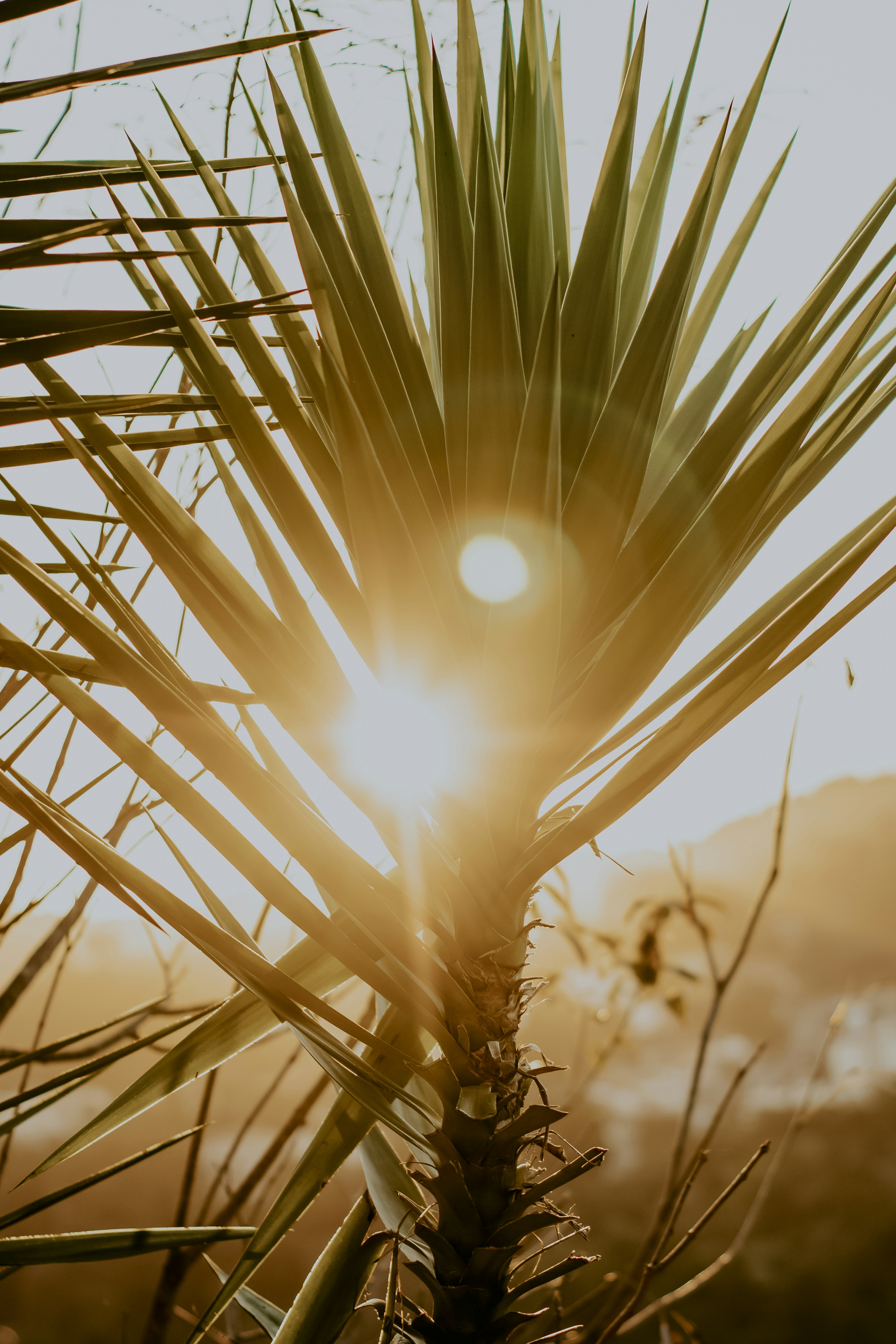 Photo by paolanunesfoto