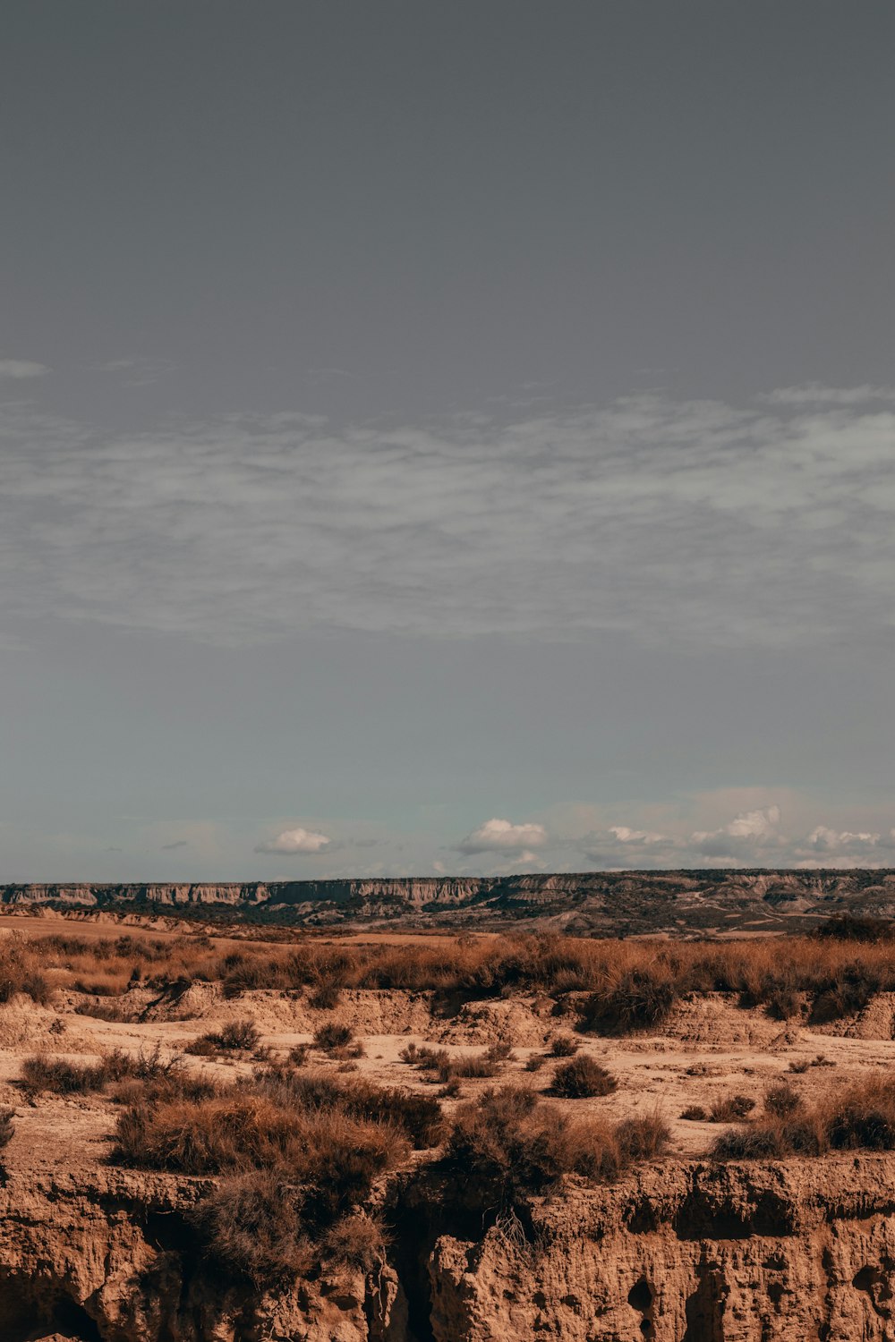 a desert landscape with sparse grass and rocks