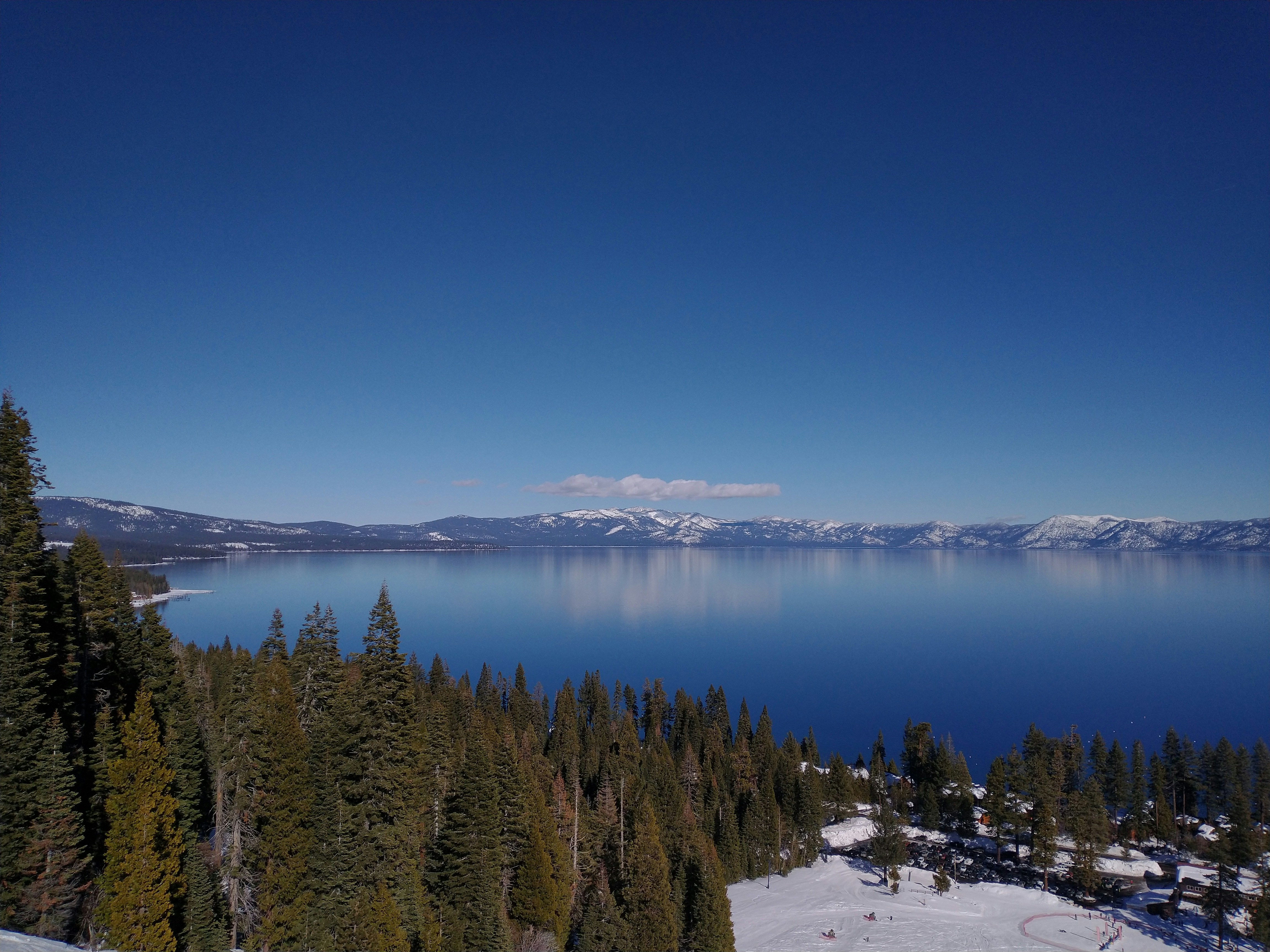 Photo by thiagorobert