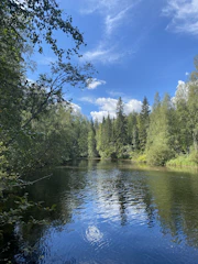 A peaceful river flowing through lush greenery under a bright sky.