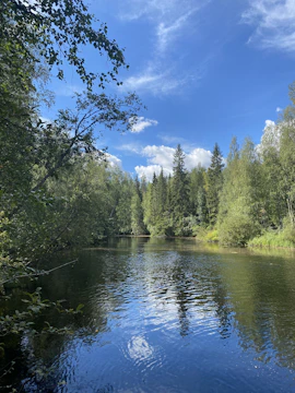 A peaceful river flowing through lush greenery under a bright sky.