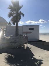 A sandy beach scene with a palm tree in front of a small white building. A large piece of driftwood rests on the sand beside the building. The sky is mostly clear with a few scattered clouds, and the sunlight casts shadows on the ground. A sign reads 'LA PLAGE' pointing towards the beach.
