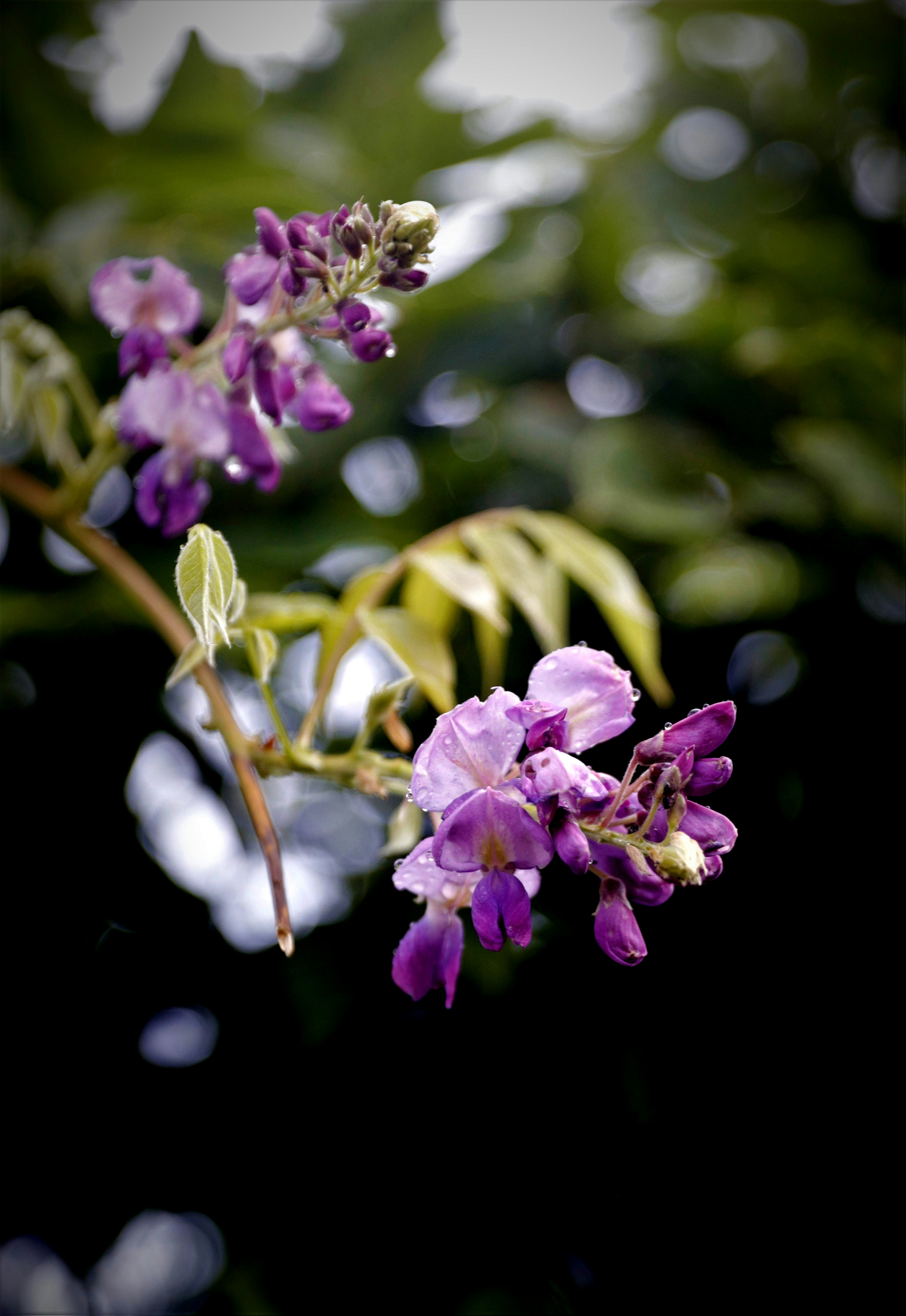 Photo by luizabraun