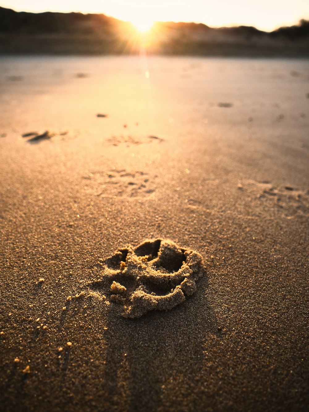 浜辺の砂に描かれたスマイリーフェイス