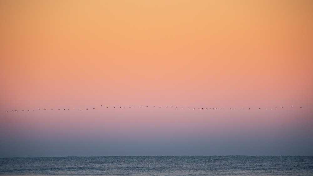 a long line of birds flying over the ocean