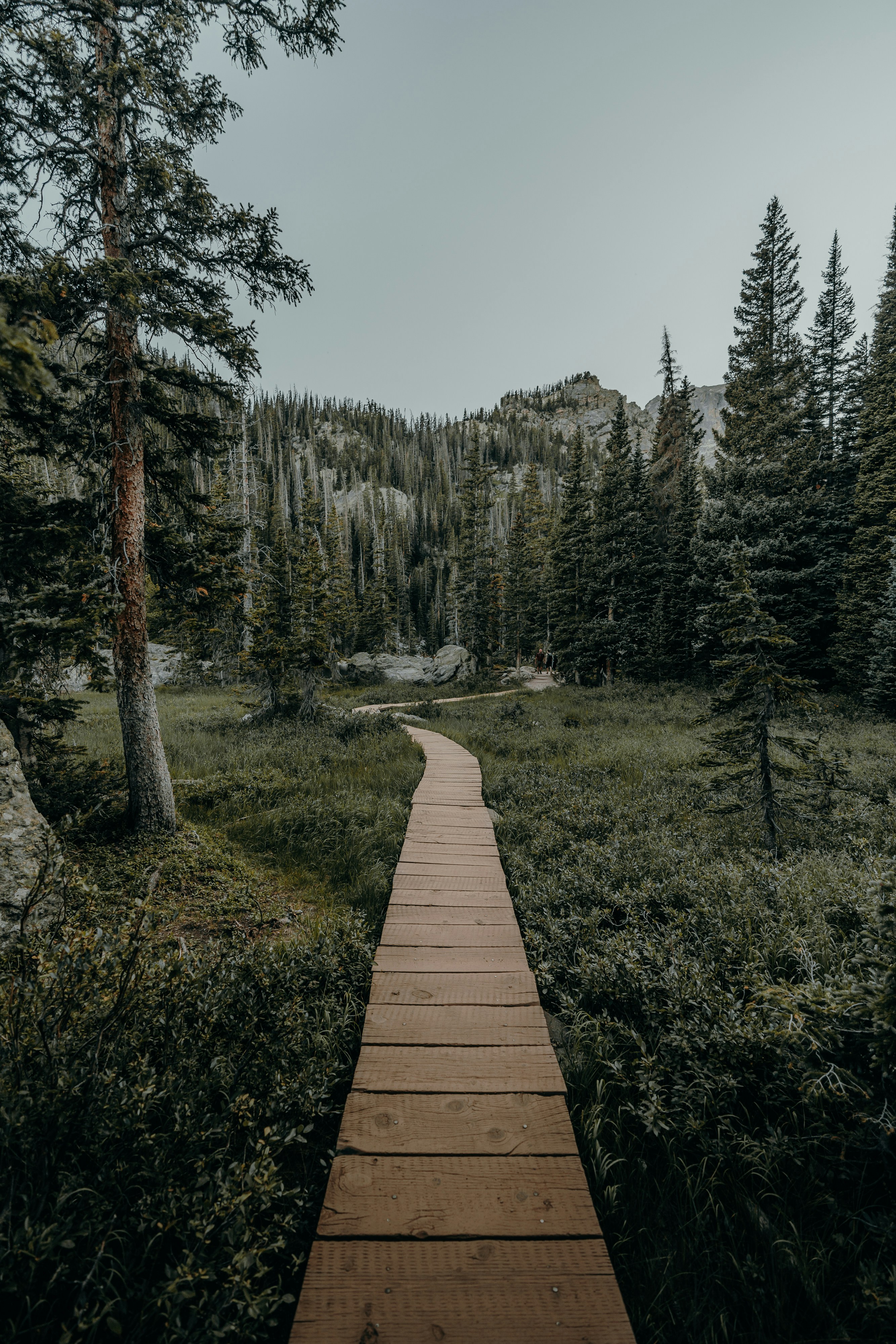 Into the woods (IG: @clay.banks)