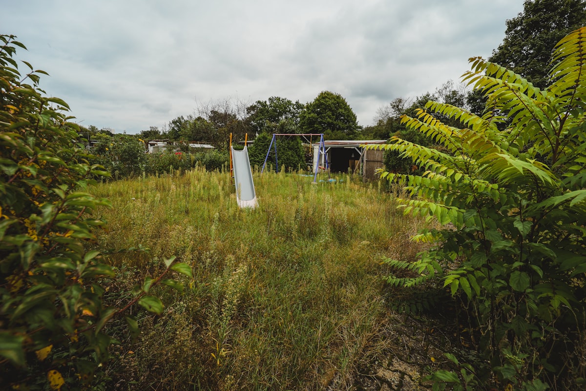 잡초 무성한 정원