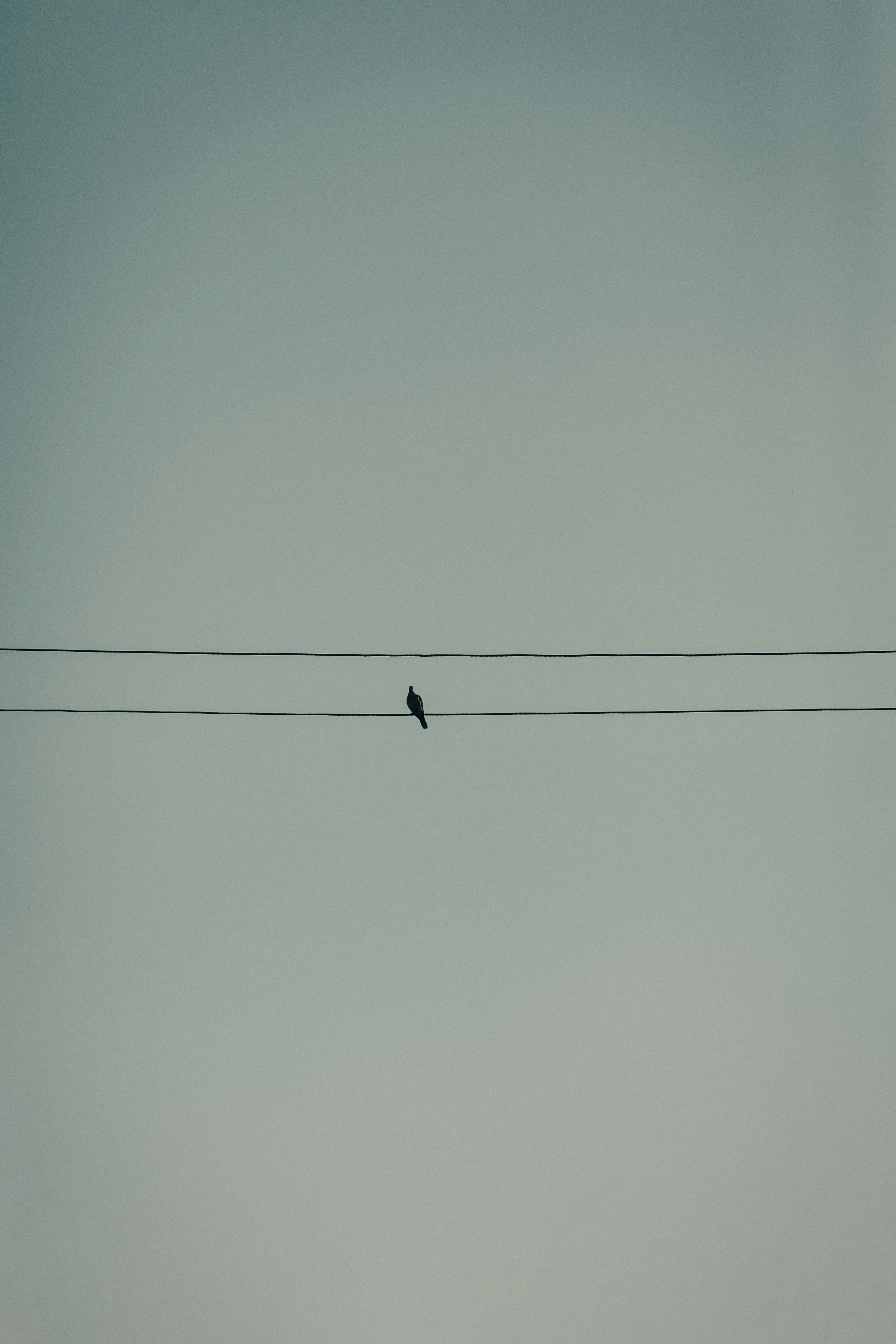 Photo by alexcrphoto