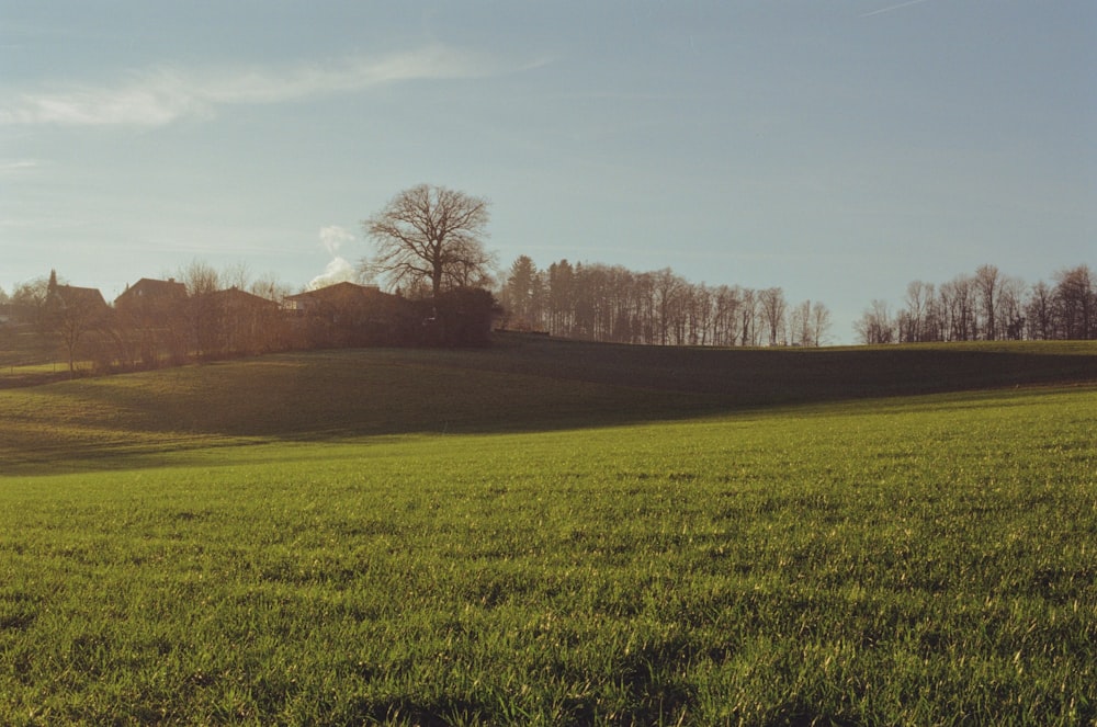 a green field with a house in the distance