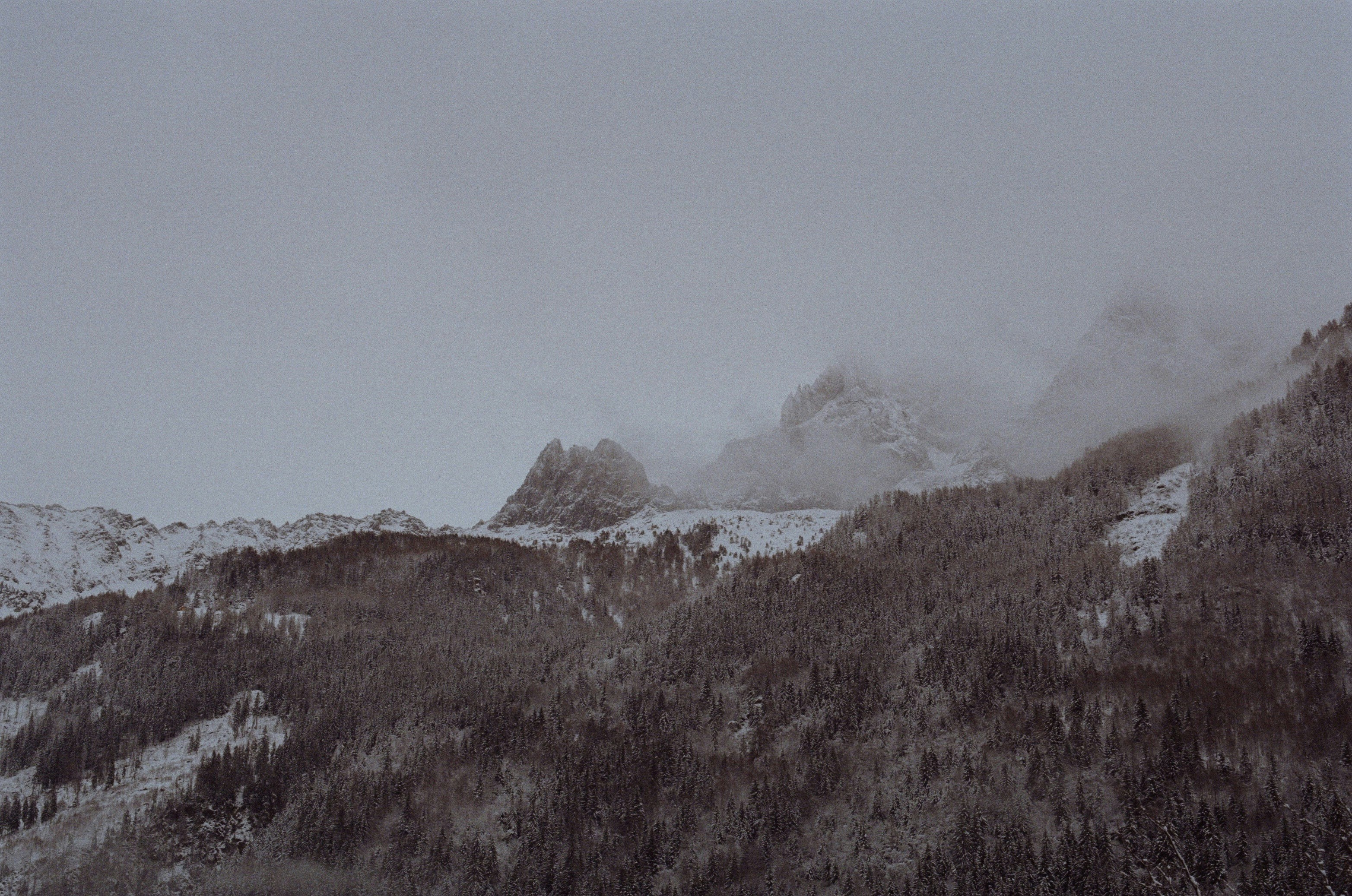 Choose from a curated selection of snow wallpapers for your mobile and desktop screens. Always free on Unsplash.