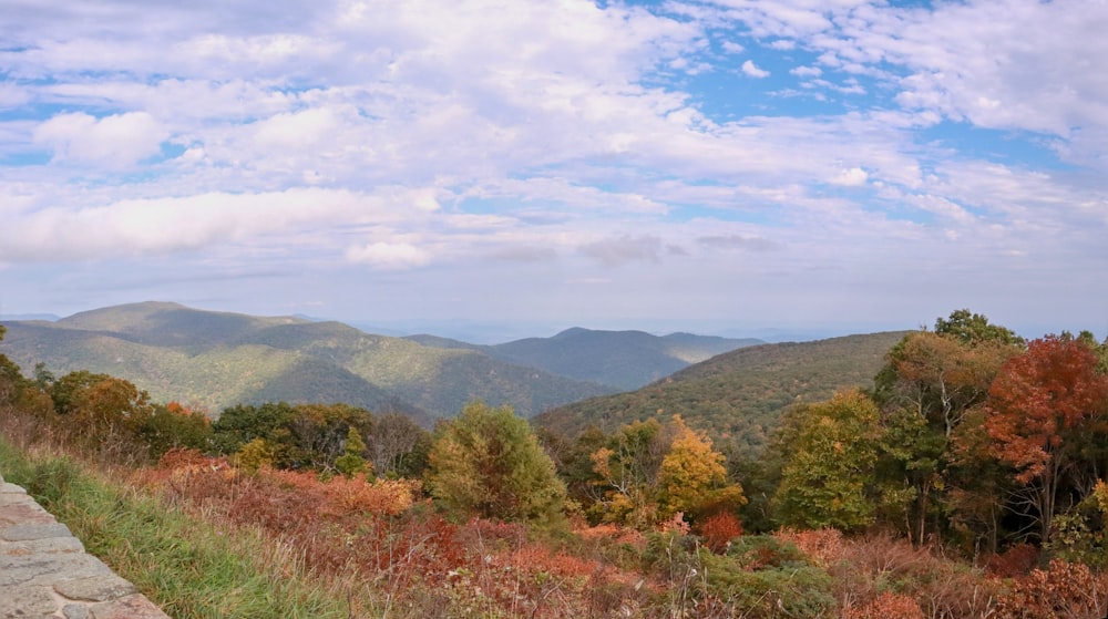 uma vista panorâmica de montanhas e árvores no outono