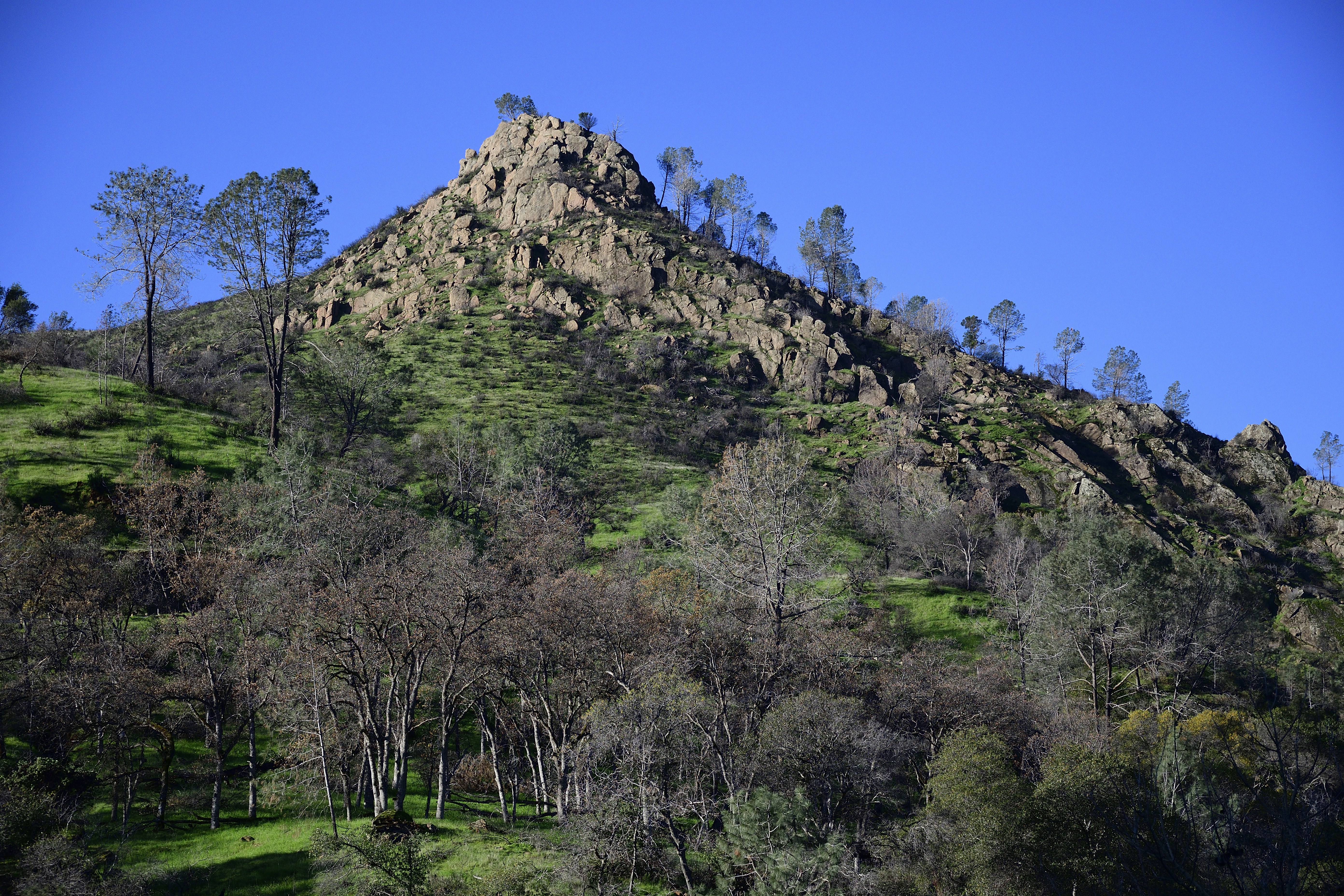 a mountain with trees on the side of it