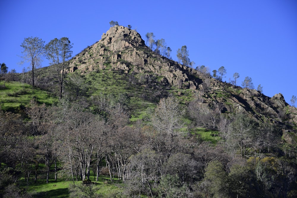 a mountain with trees on the side of it