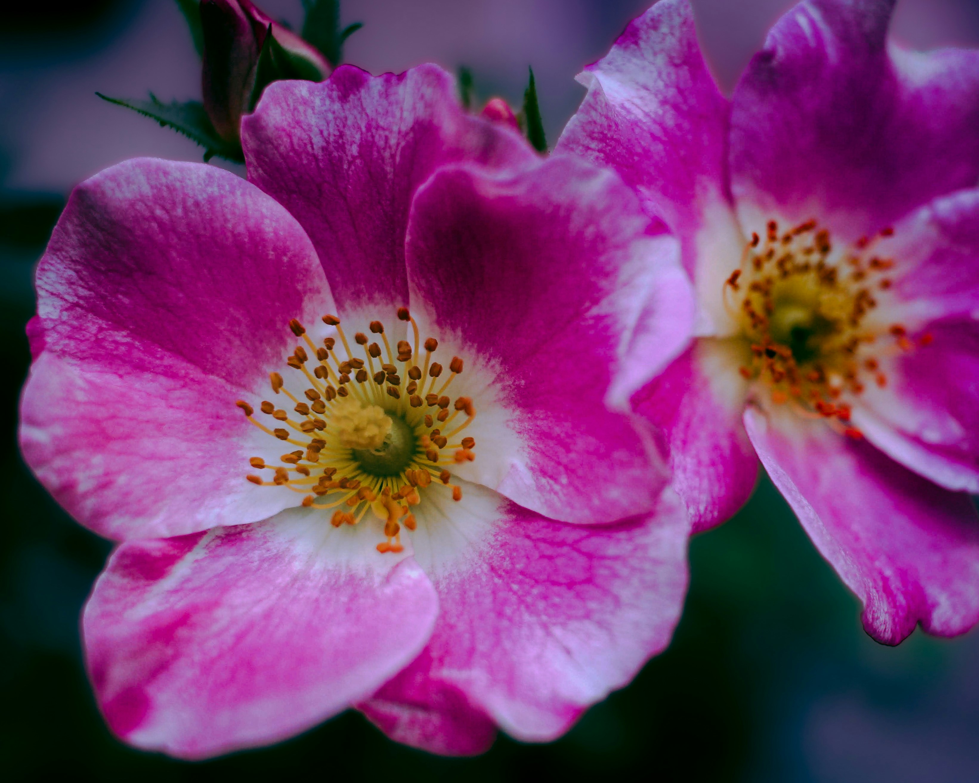 Photo by jeffrey_jpeg