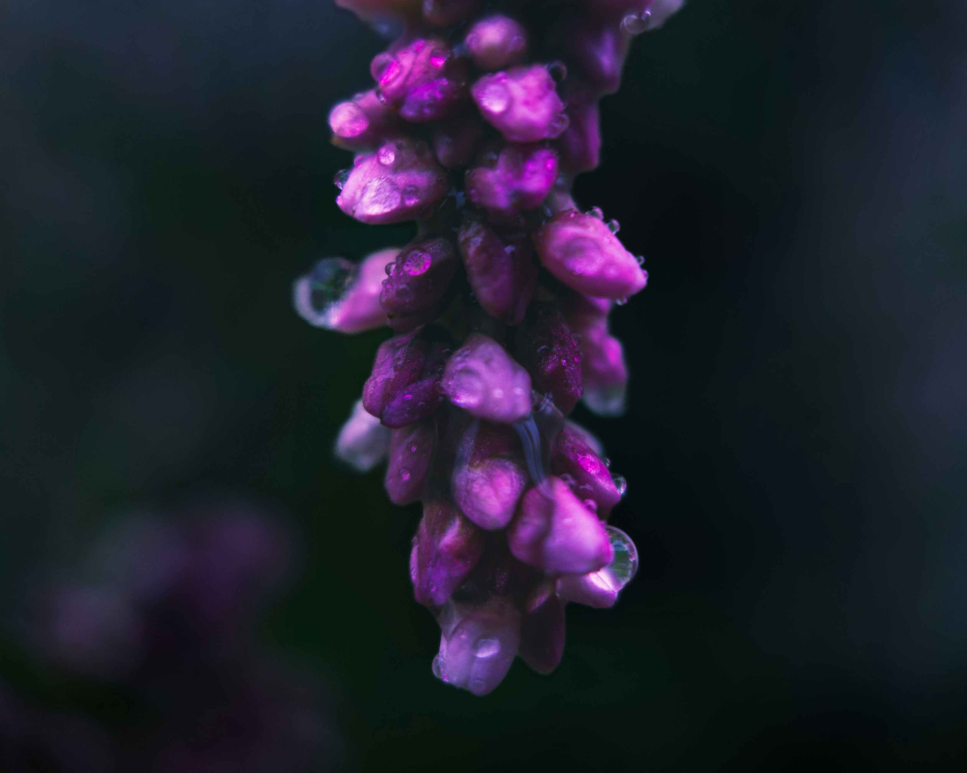 Photo by jeffrey_jpeg